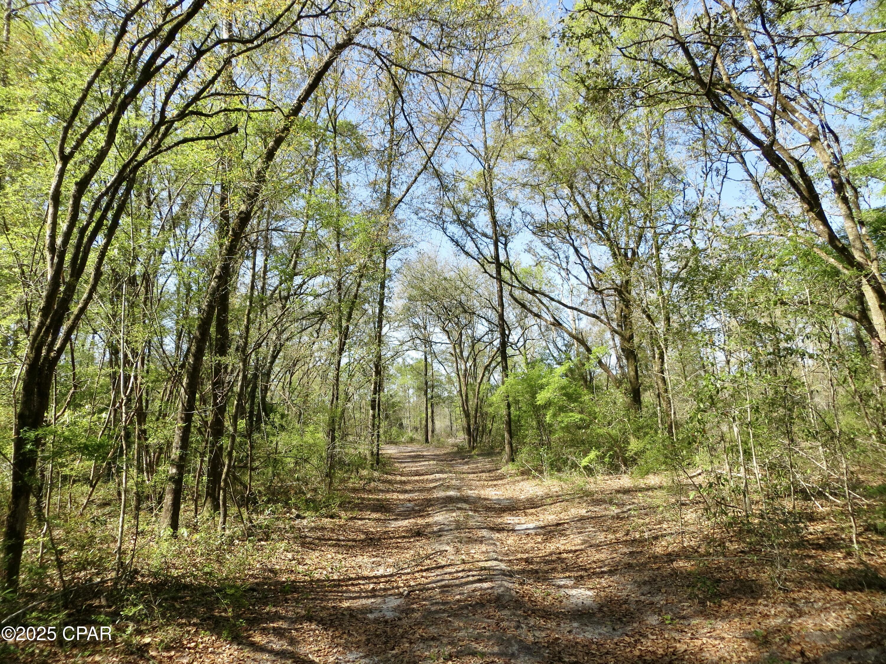 Image 6 For 2839 Highway 79