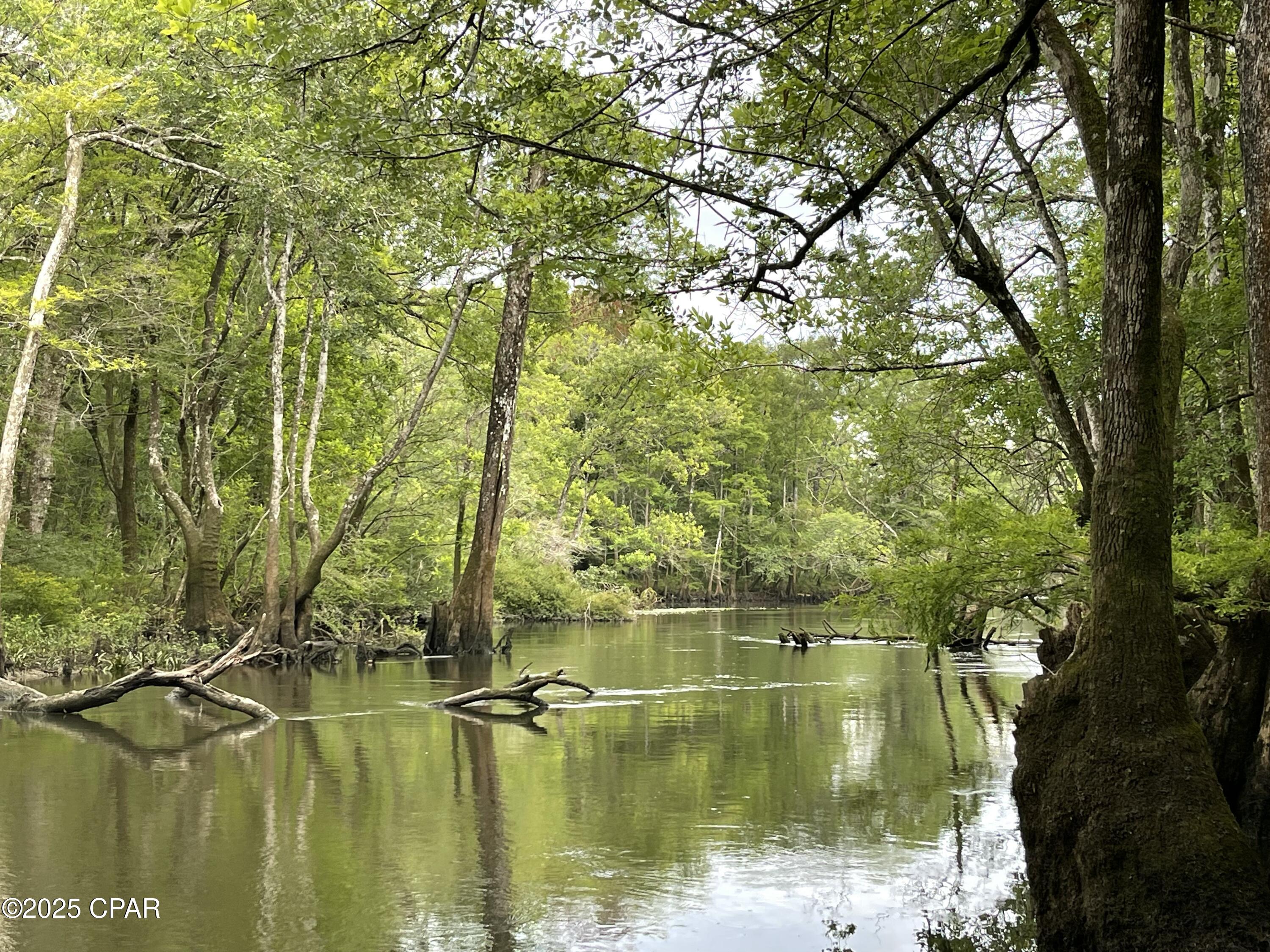 Image 7 For 2839 Highway 79