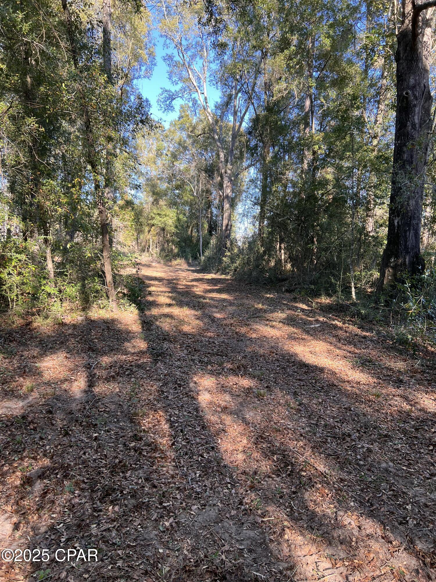 Image 9 For 2839 Highway 79