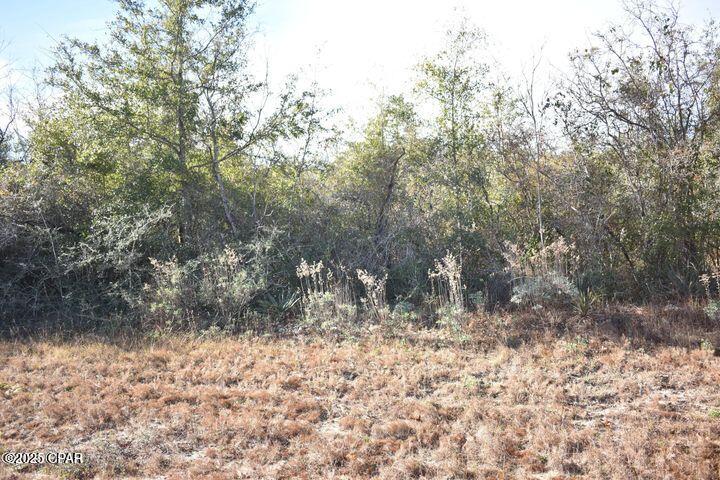 Details for 000 Laredo Drive, Chipley, FL 32428