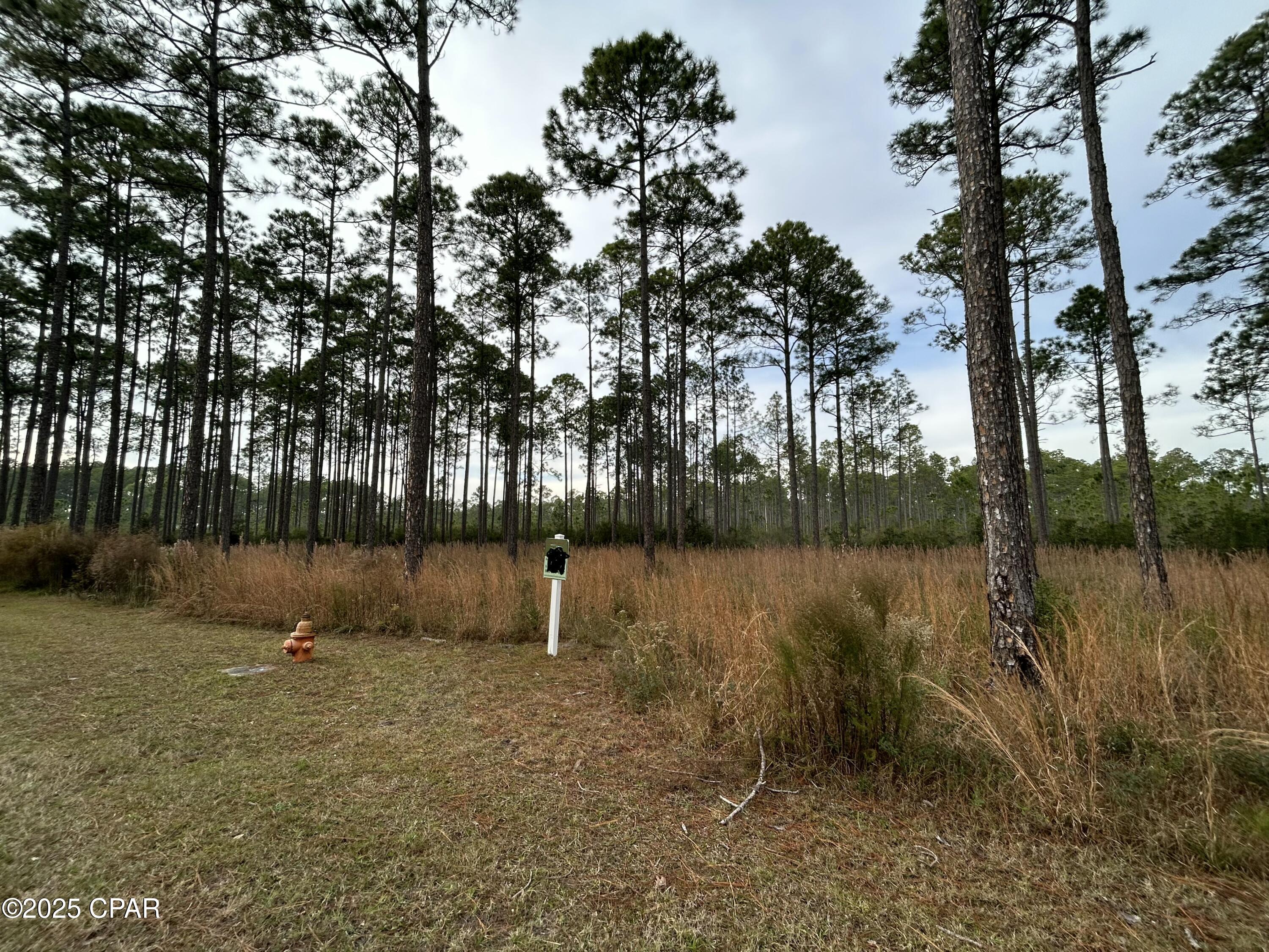 Image 4 For 8541 Preservation Drive