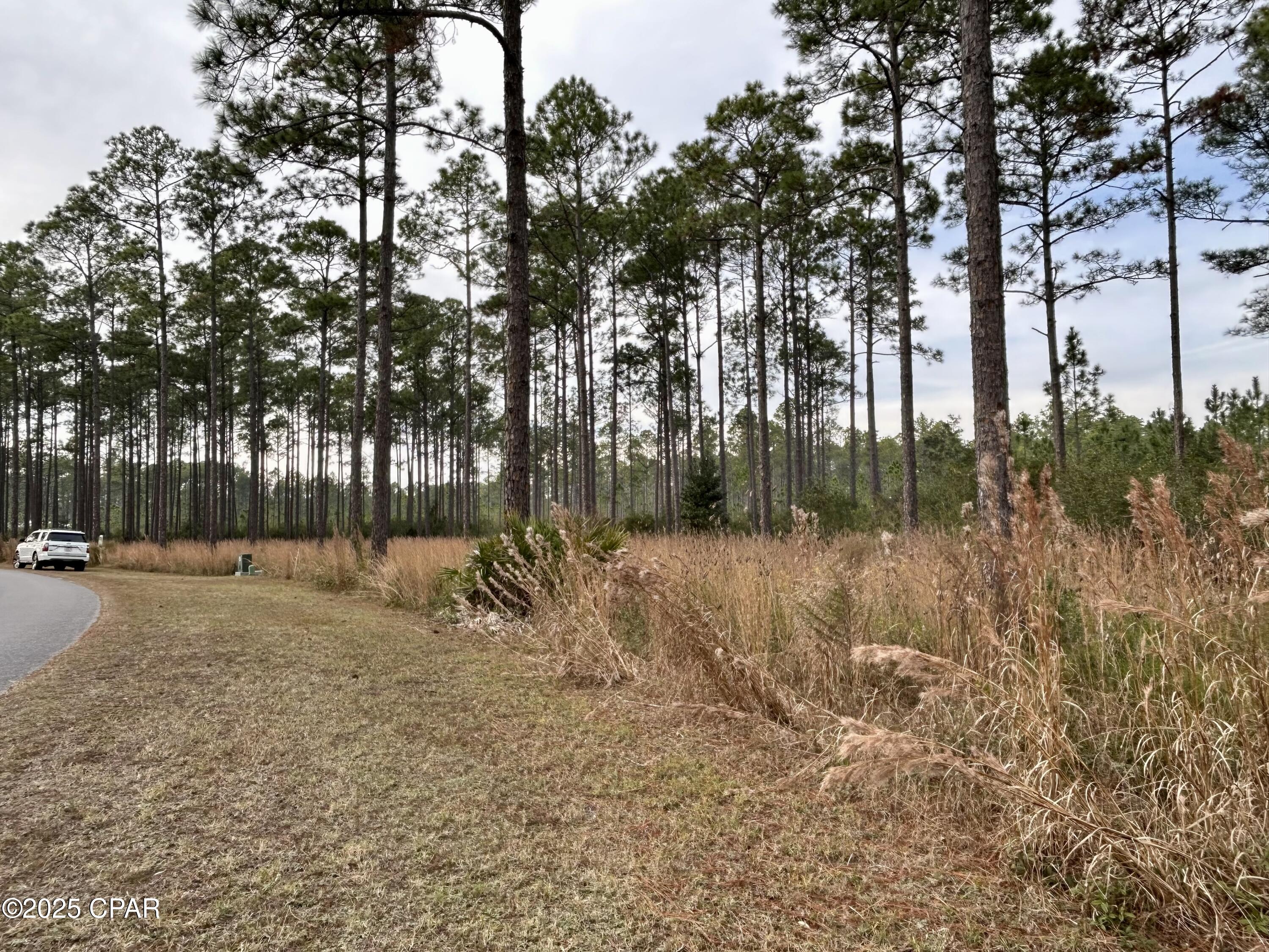 Image 5 For 8541 Preservation Drive