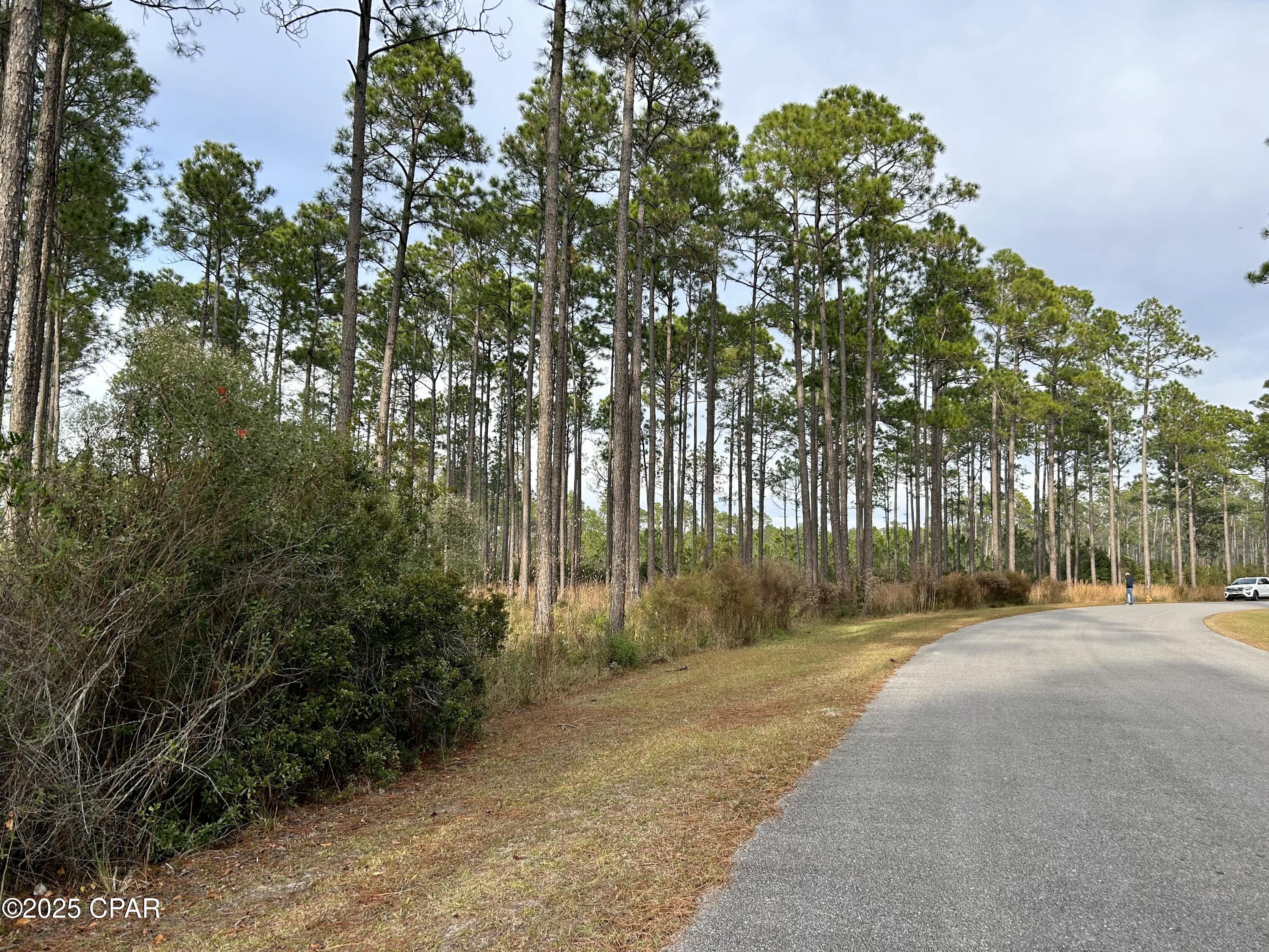 Image 6 For 8541 Preservation Drive
