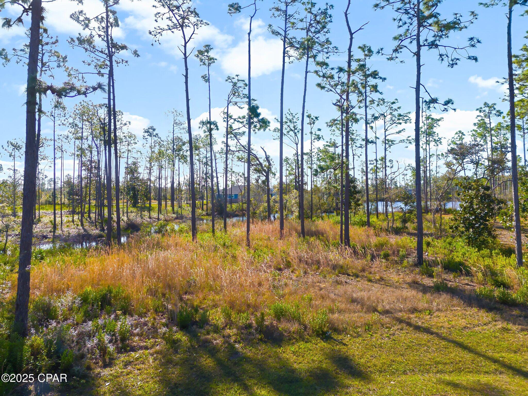 Image 15 For 802 Buoy Court Lot 17