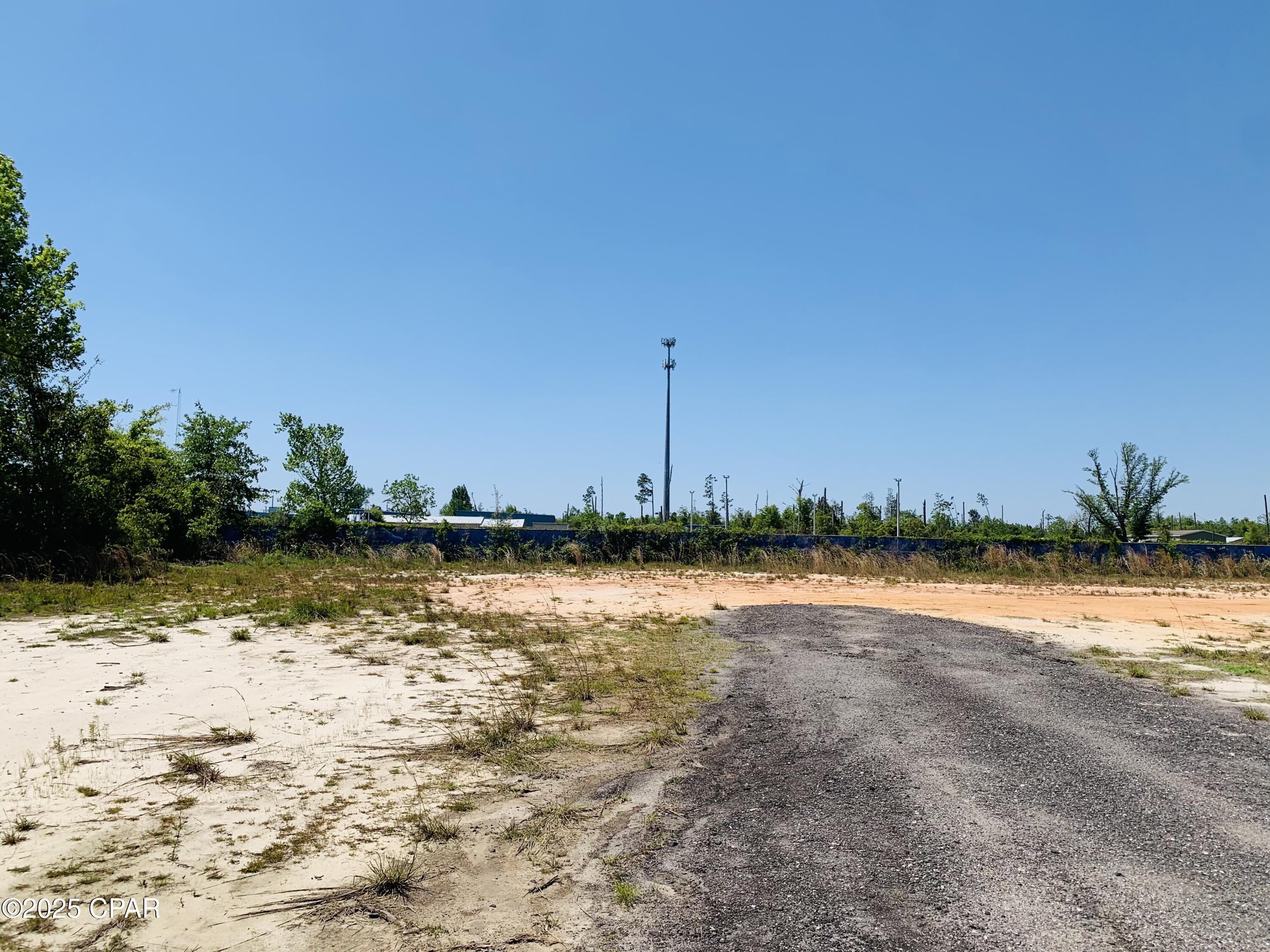 Listing photo id 10 for 333 Star Avenue