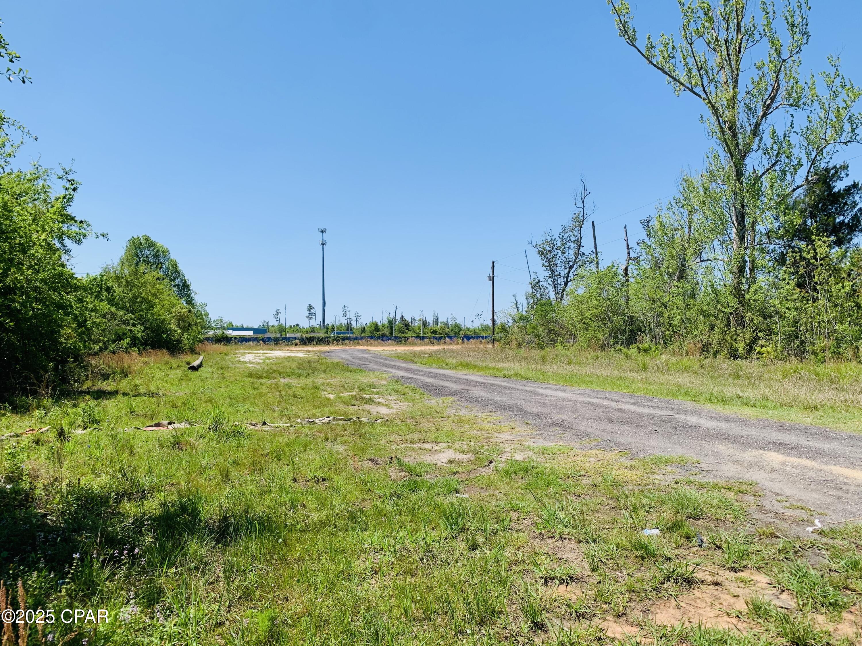 Listing photo id 8 for 333 Star Avenue