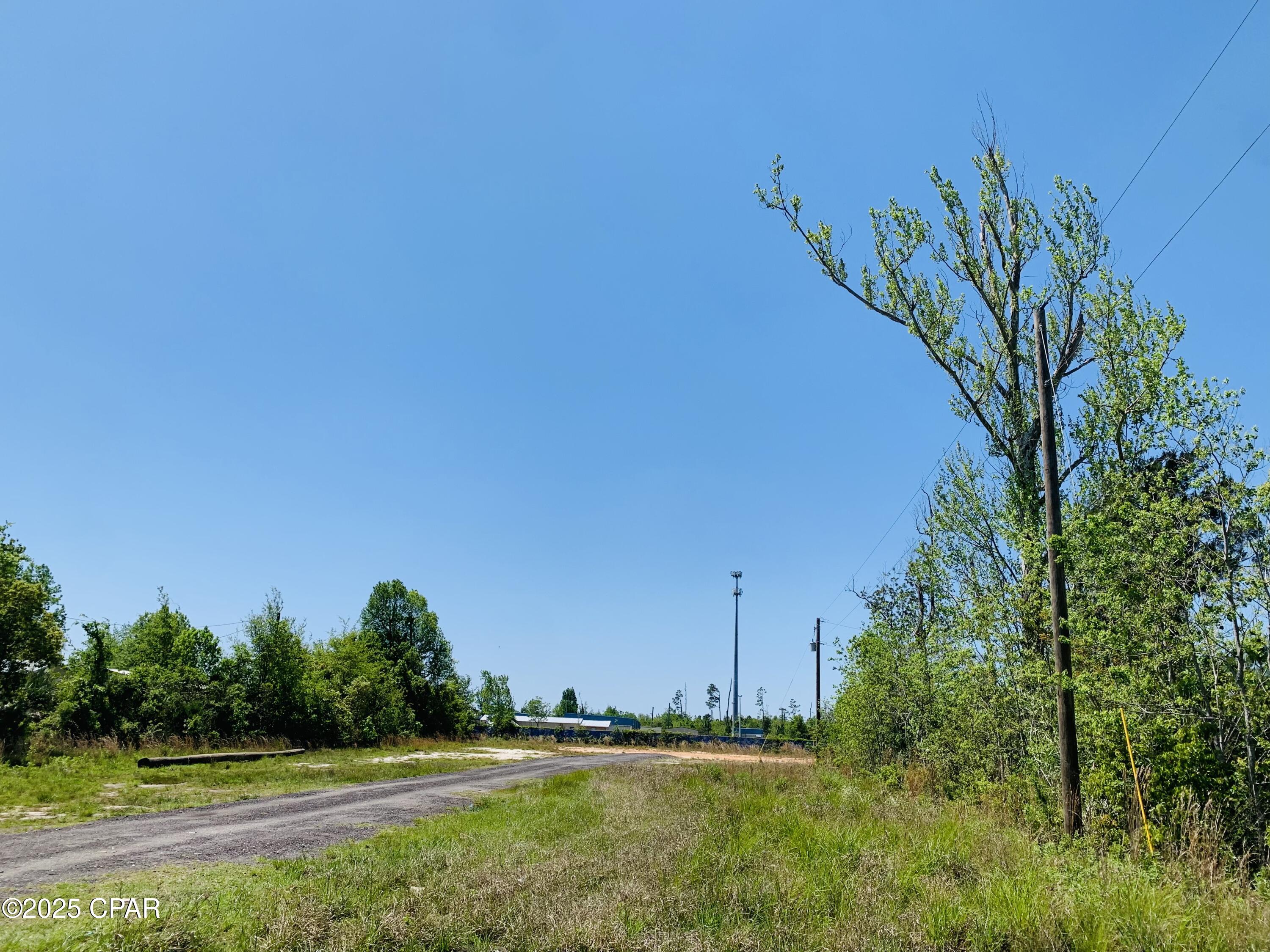 Listing photo id 9 for 333 Star Avenue