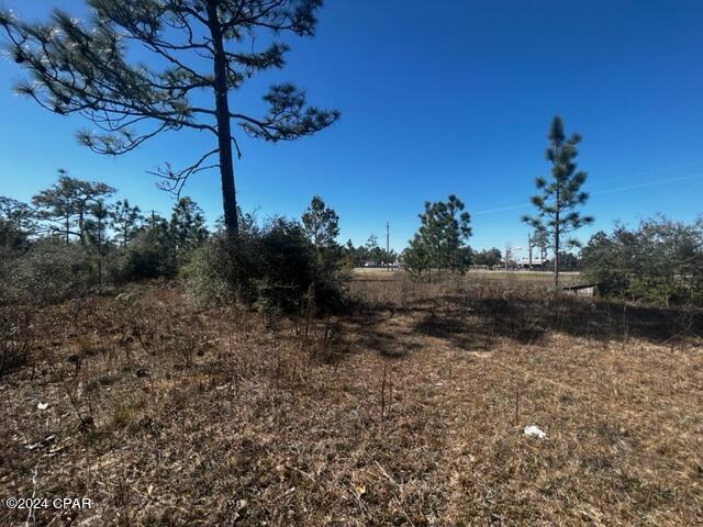 Image 14 For 00 County Rd 274