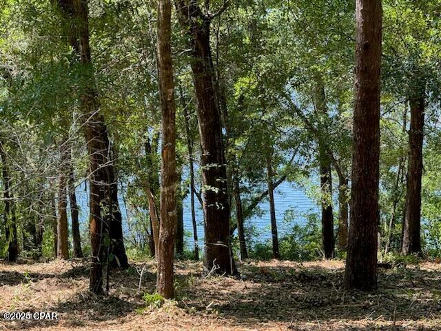 Image 1 For Tbd Dove Court