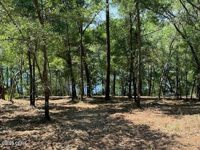 Image 2 For Tbd Dove Court