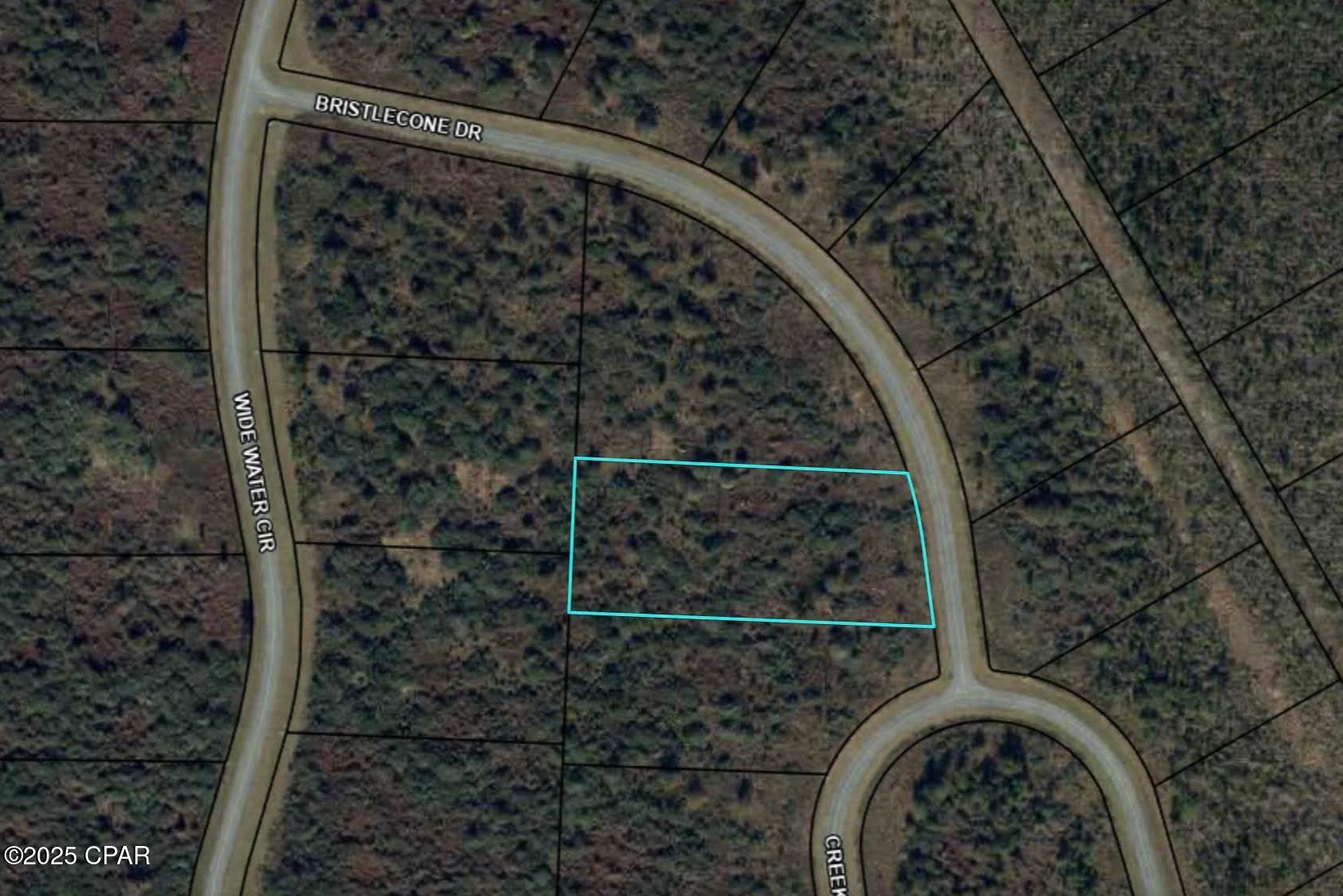 Details for 110 Bristle Cone Drive, Wewahitchka, FL 32465