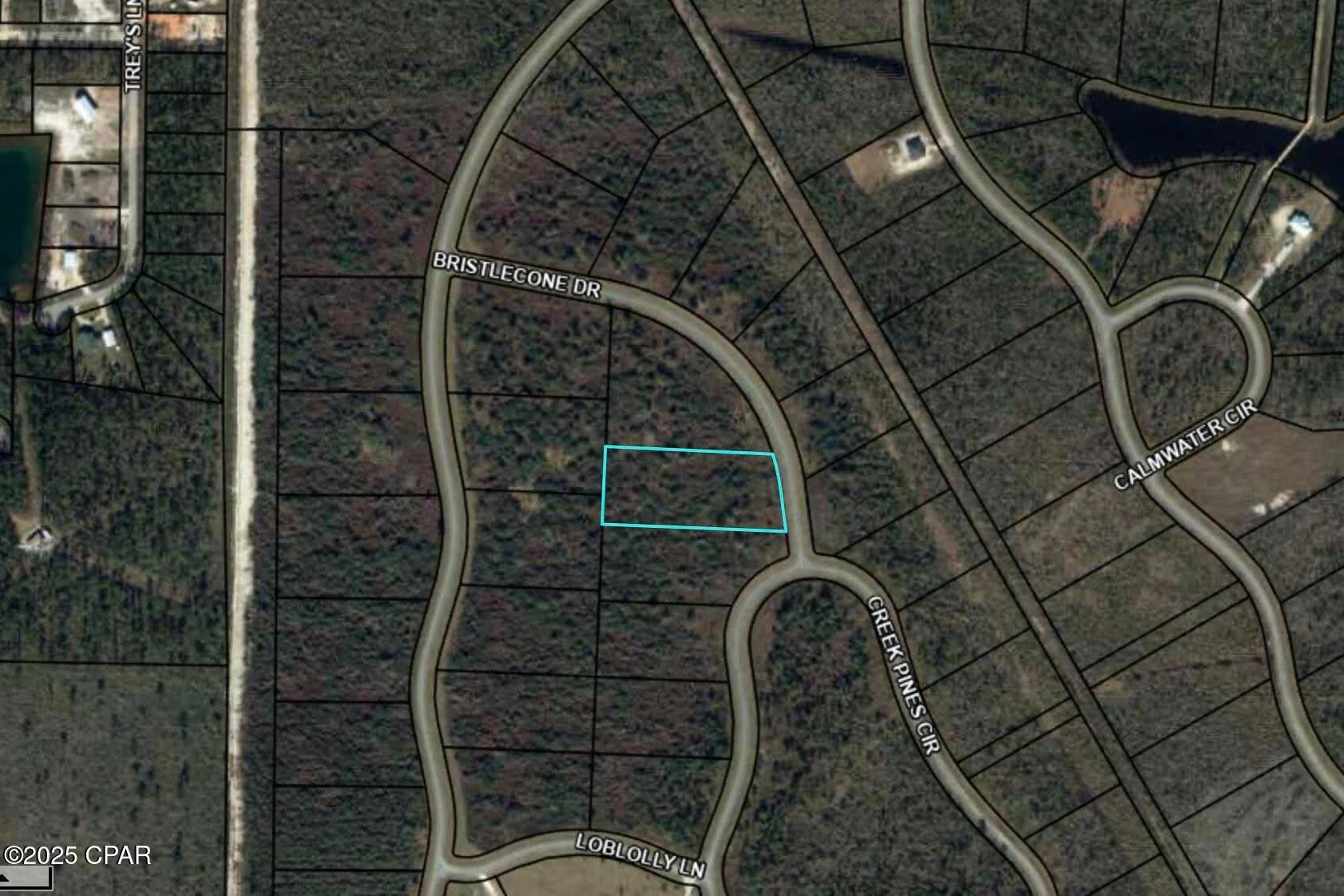 Image 2 For 110 Bristle Cone Drive