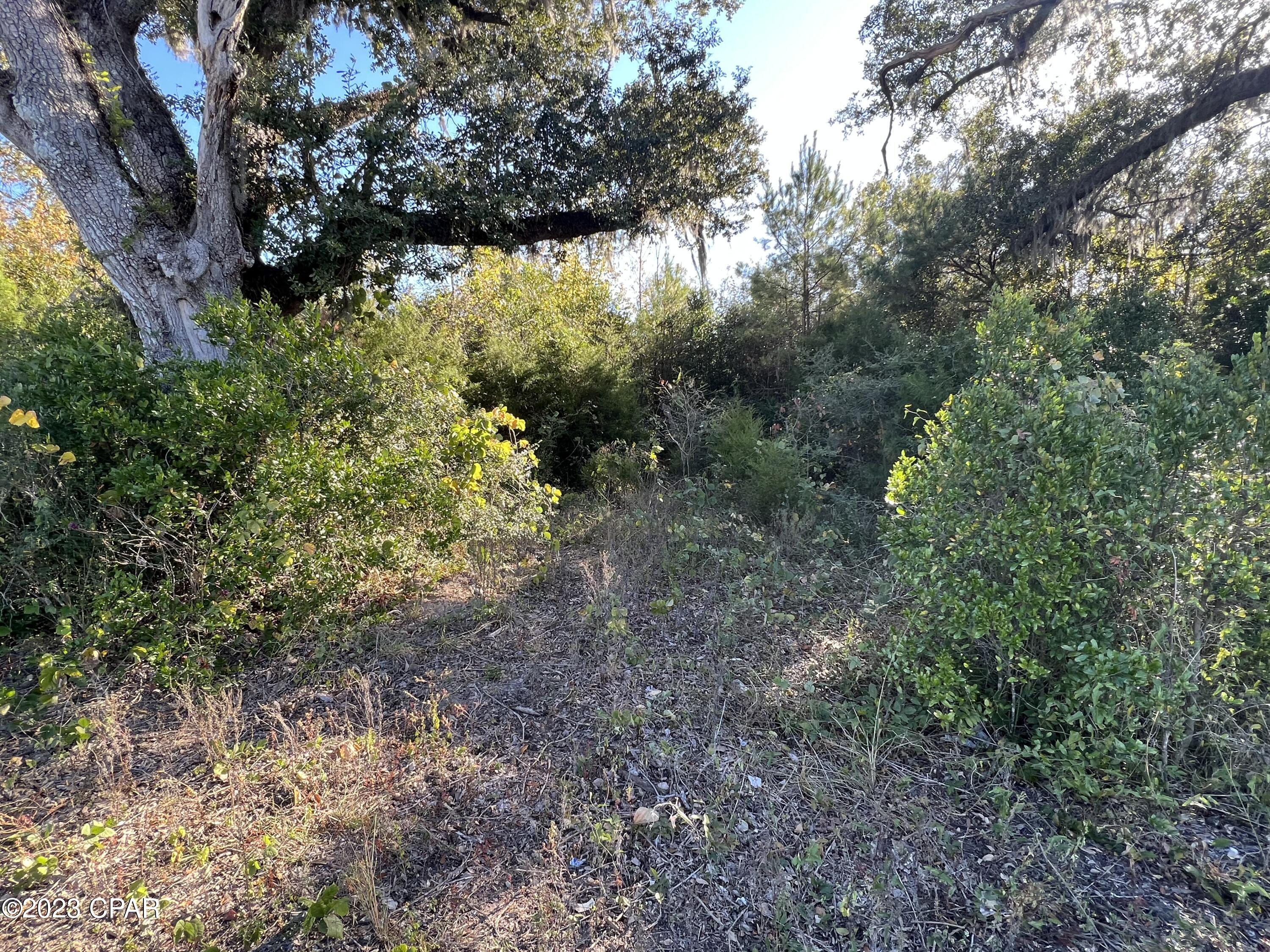 Image 3 For 00 Hwy 71  