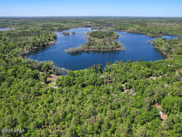 Image 4 For 0000 Paradise Lakes Road