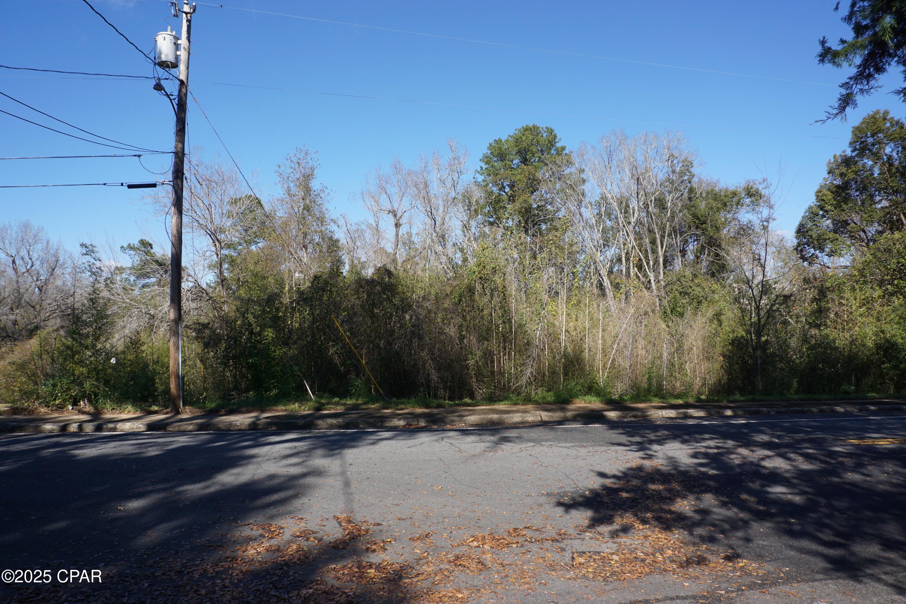 Homes for sale in Chattahoochee, FL | 121 Hickory St, Chattahoochee, FL 32324 | MLS# 772268