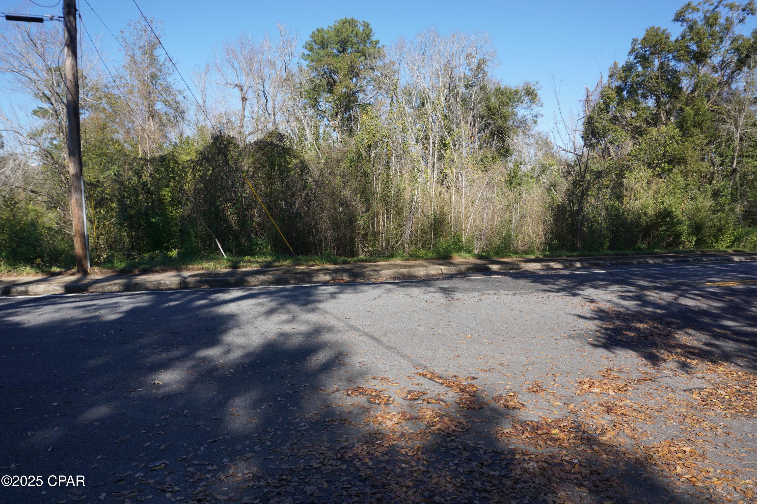 Homes for sale in Chattahoochee, FL | 121 Hickory St, Chattahoochee, FL 32324 | MLS# 772268