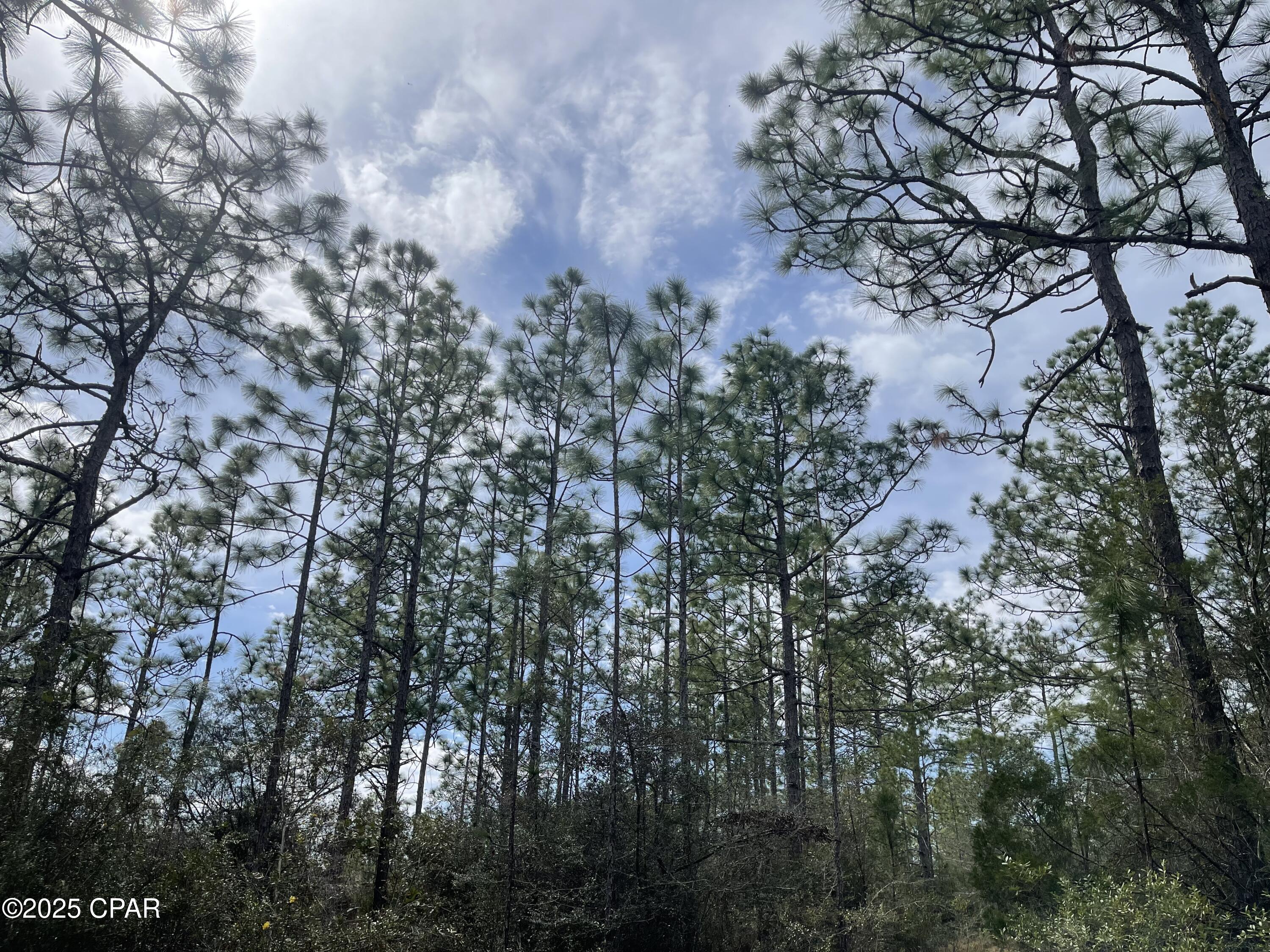 Image 1 For 3340 Varsey Lane