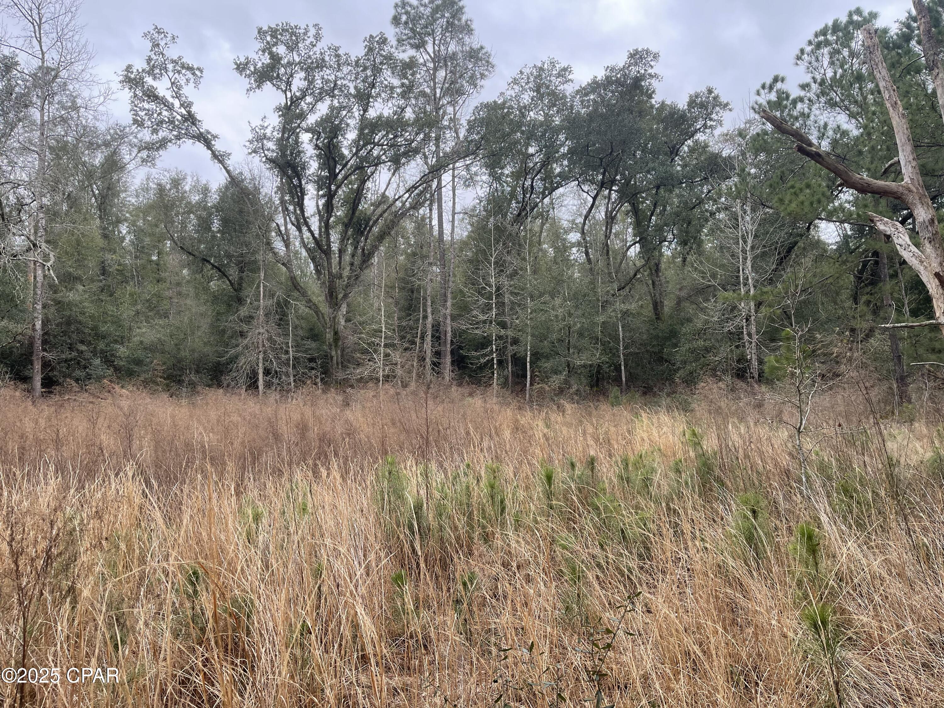 Image 11 For 3340 Varsey Lane