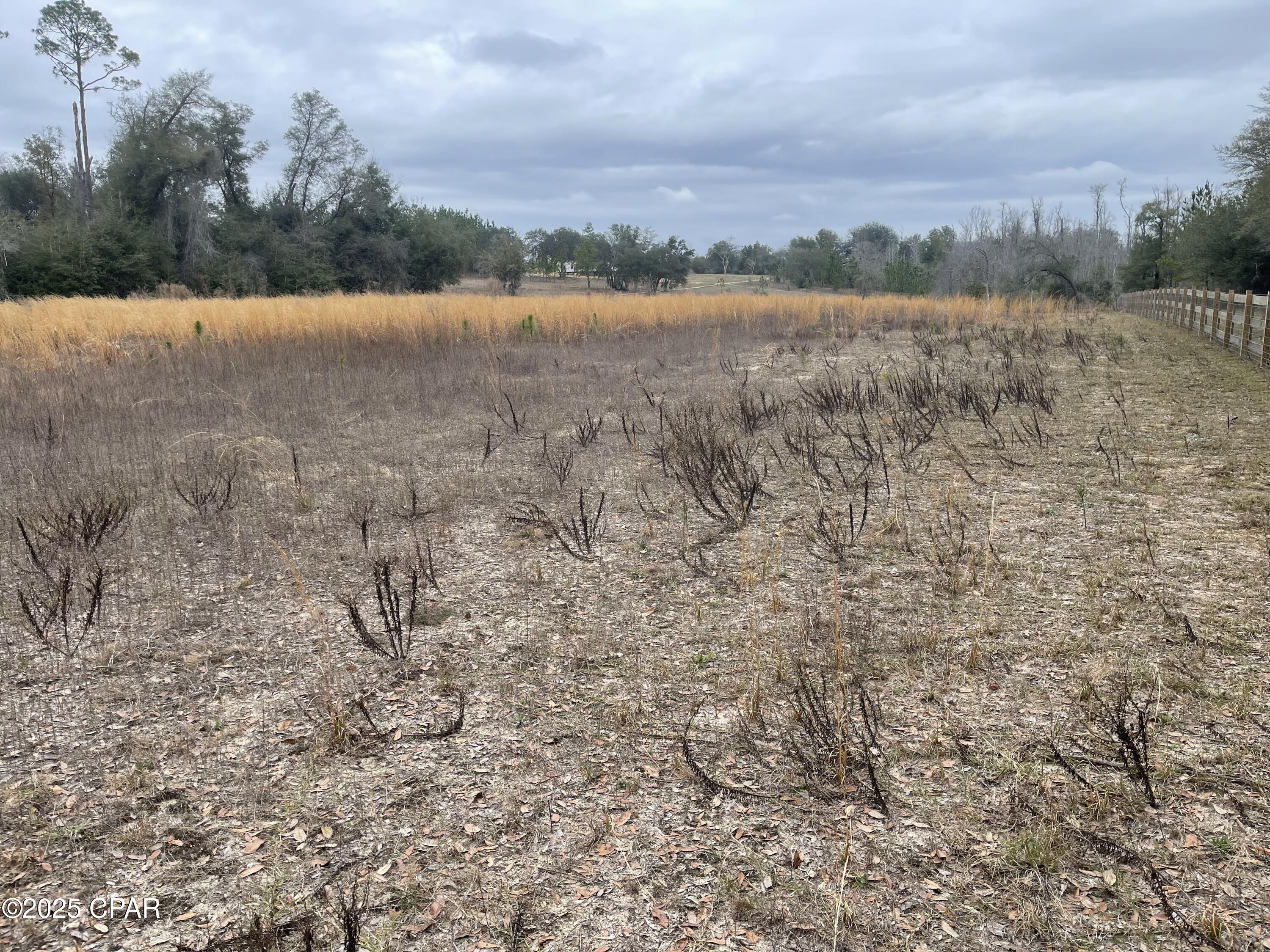 Image 12 For 3340 Varsey Lane