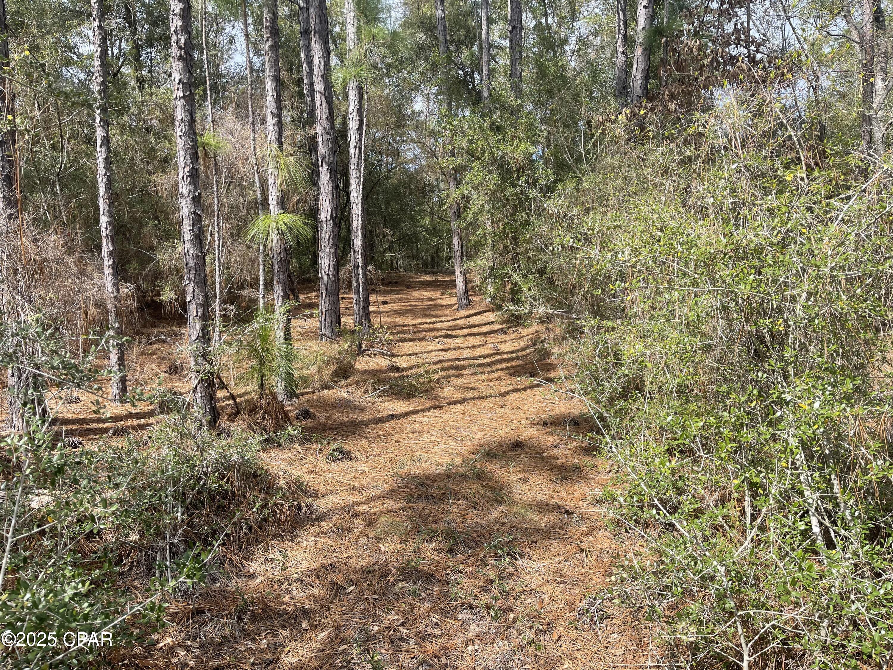 Image 13 For 3340 Varsey Lane