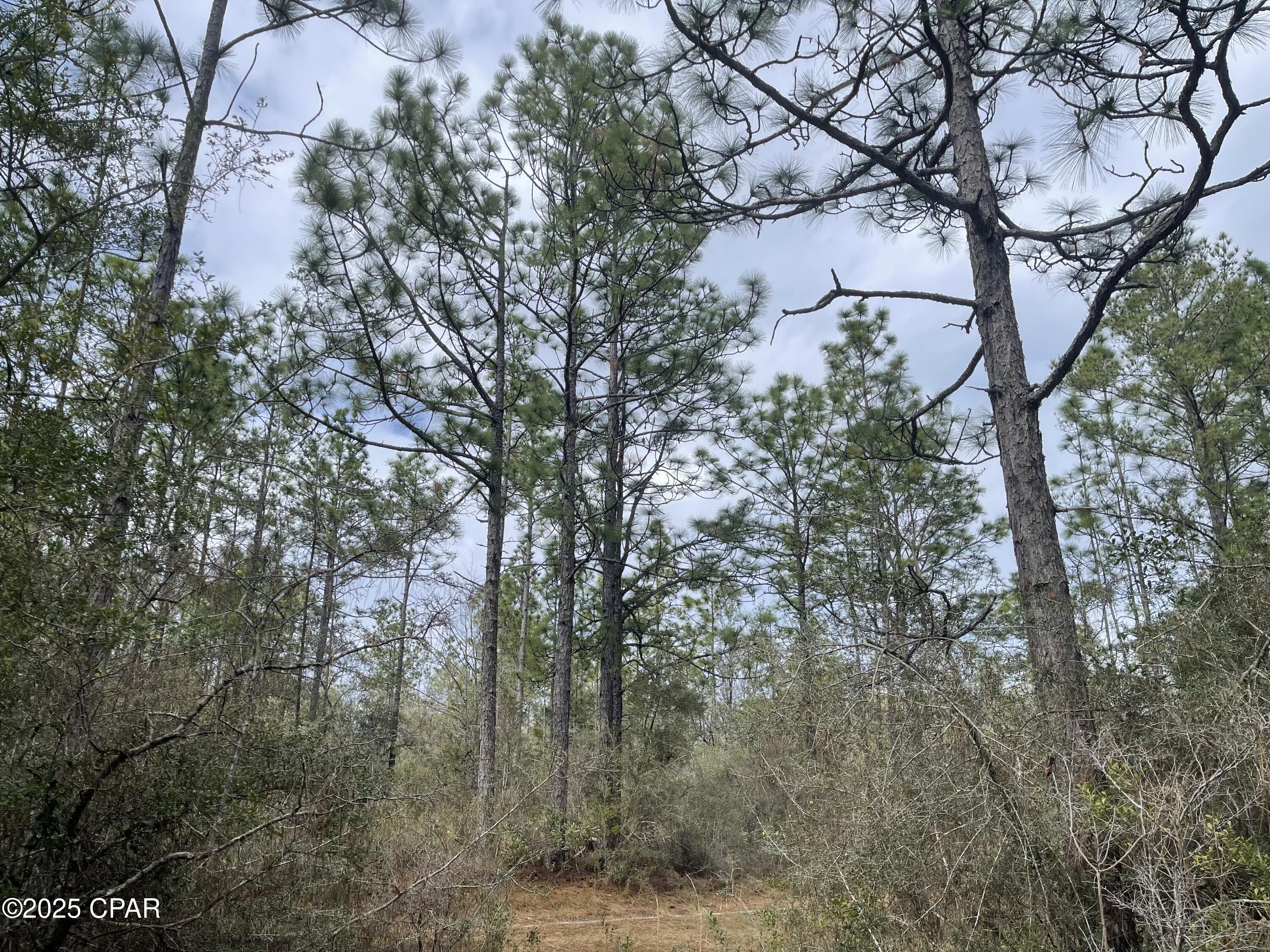 Image 14 For 3340 Varsey Lane