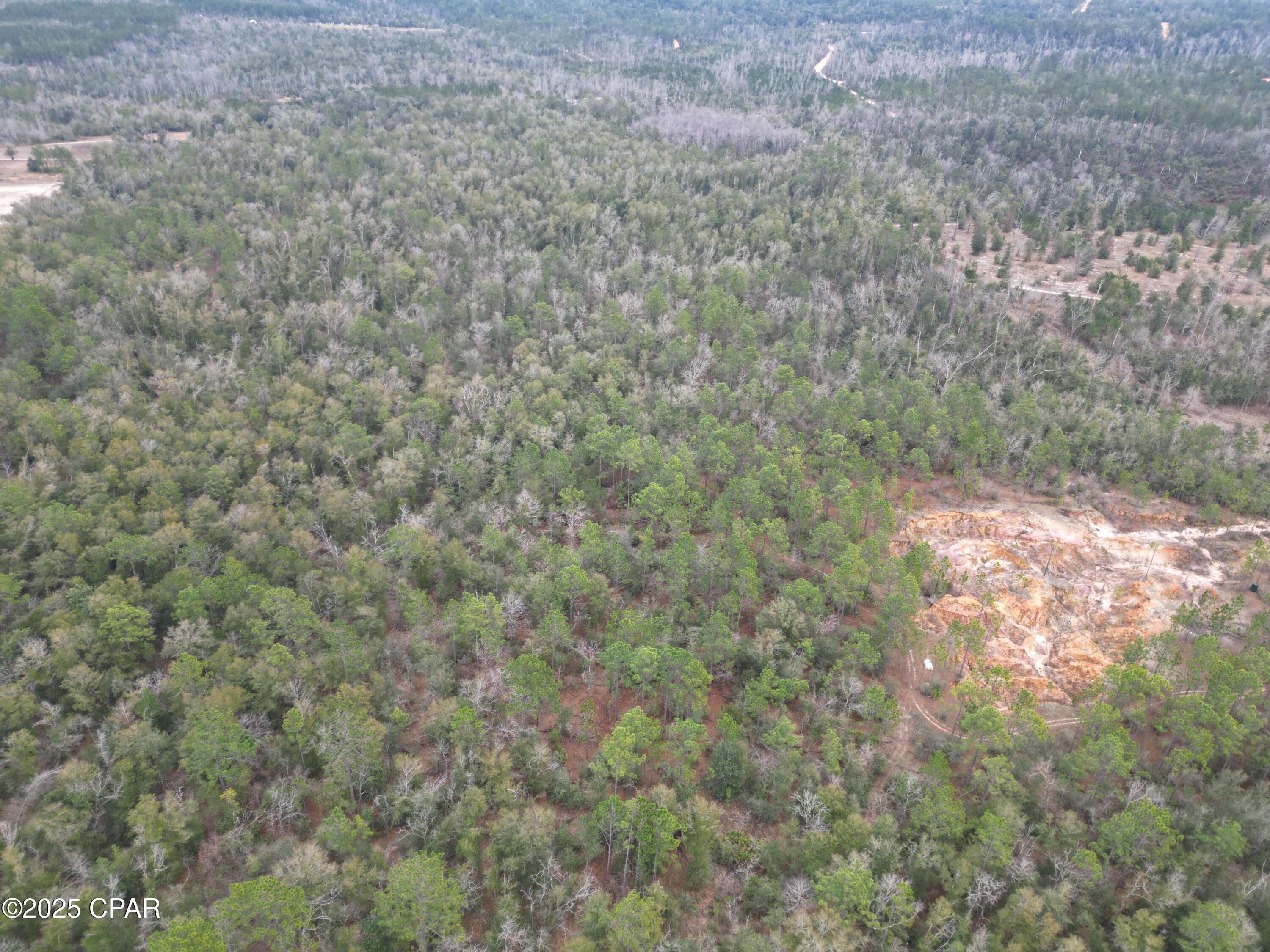 Image 4 For 3340 Varsey Lane