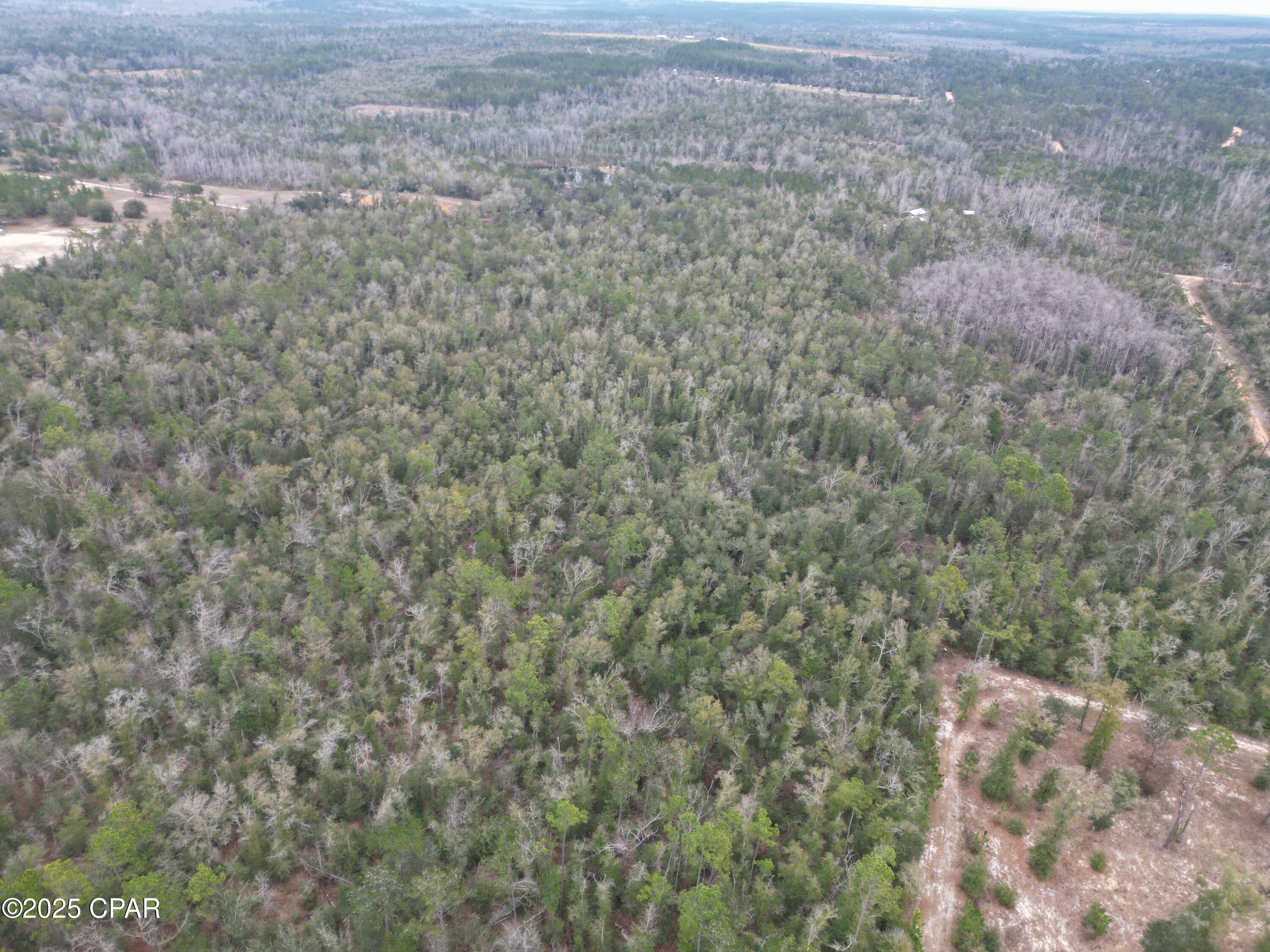 Image 6 For 3340 Varsey Lane