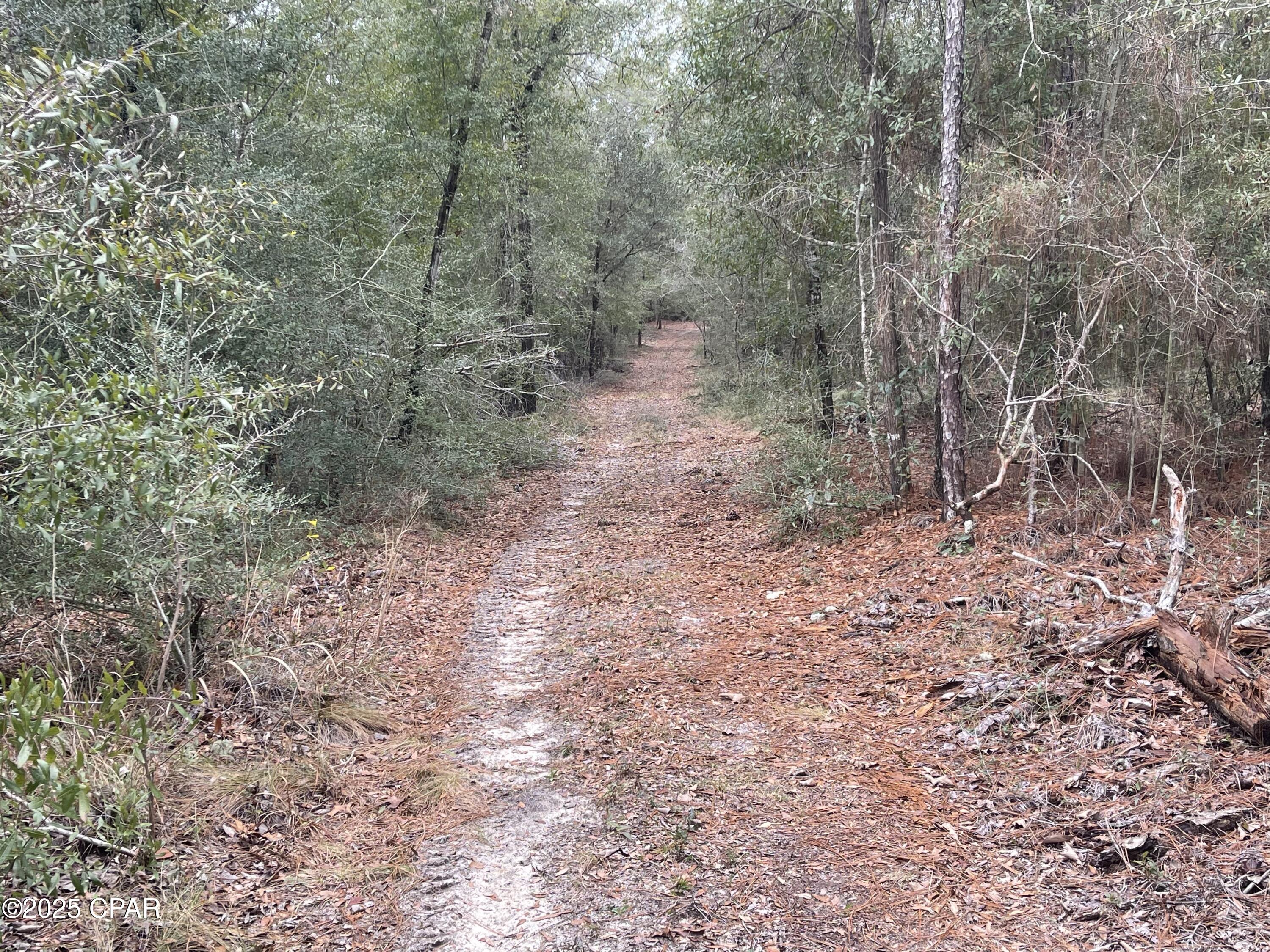 Image 7 For 3340 Varsey Lane