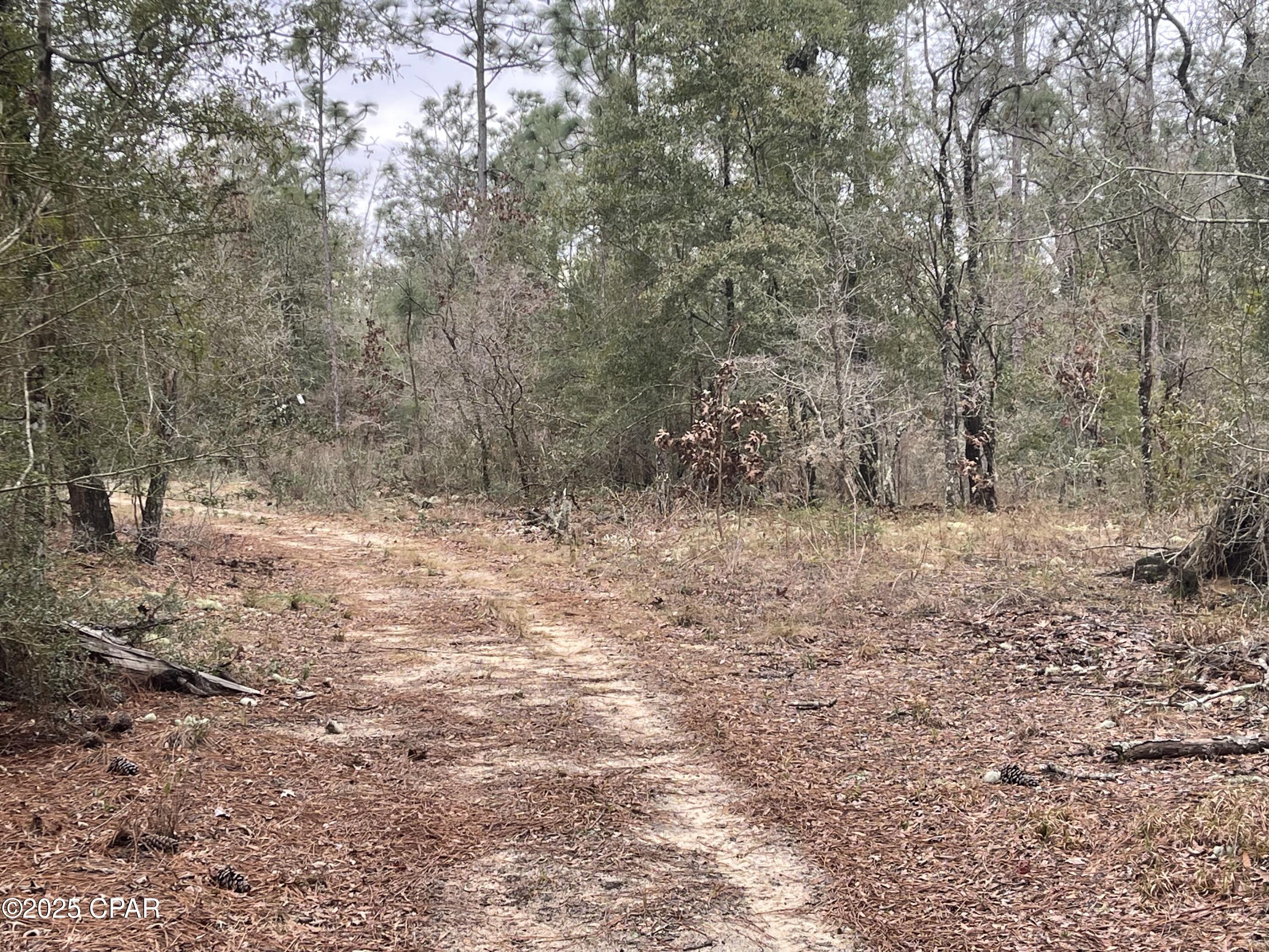 Image 8 For 3340 Varsey Lane