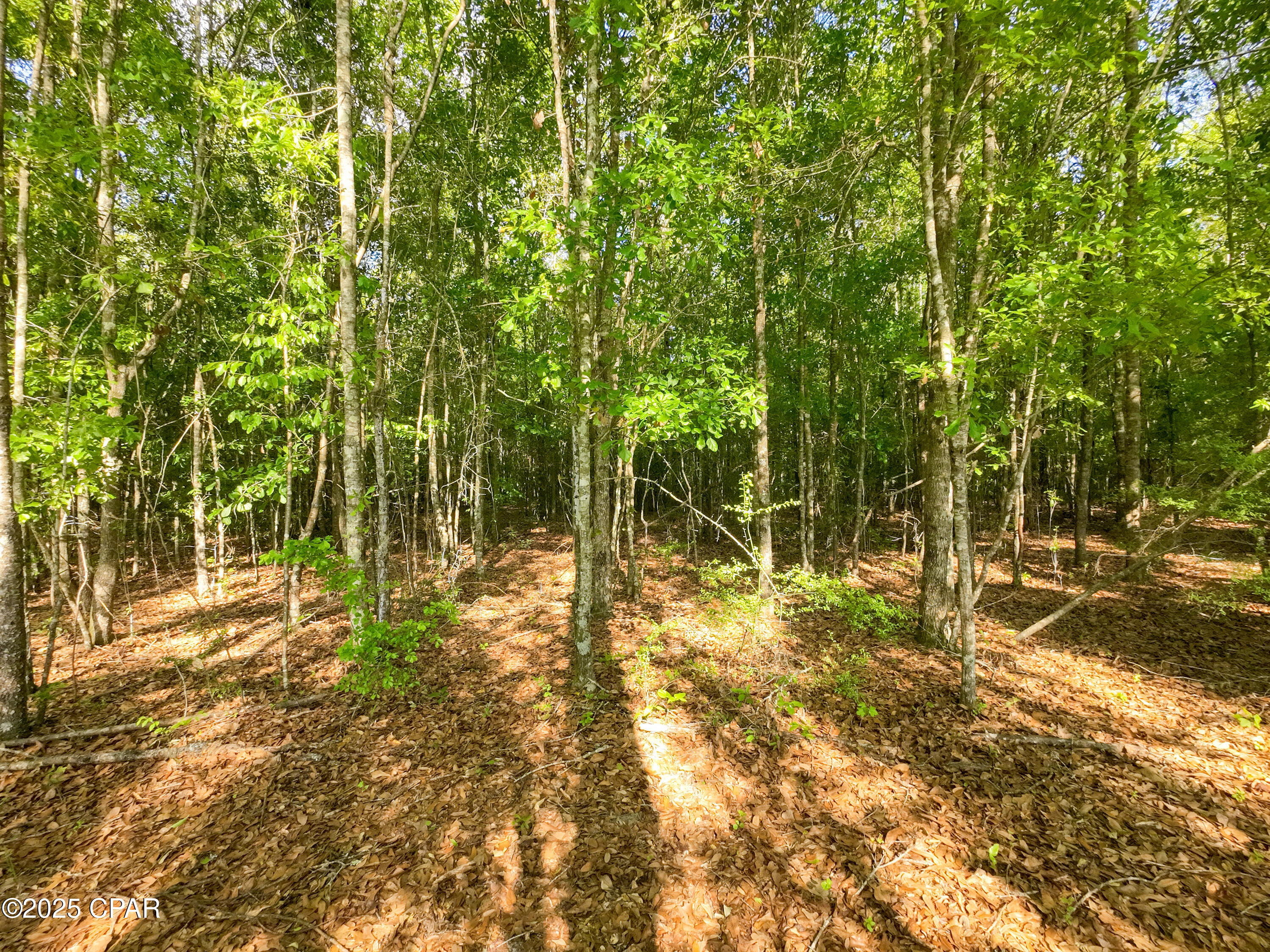 Image 10 For Tbd Nearing Hills Circle