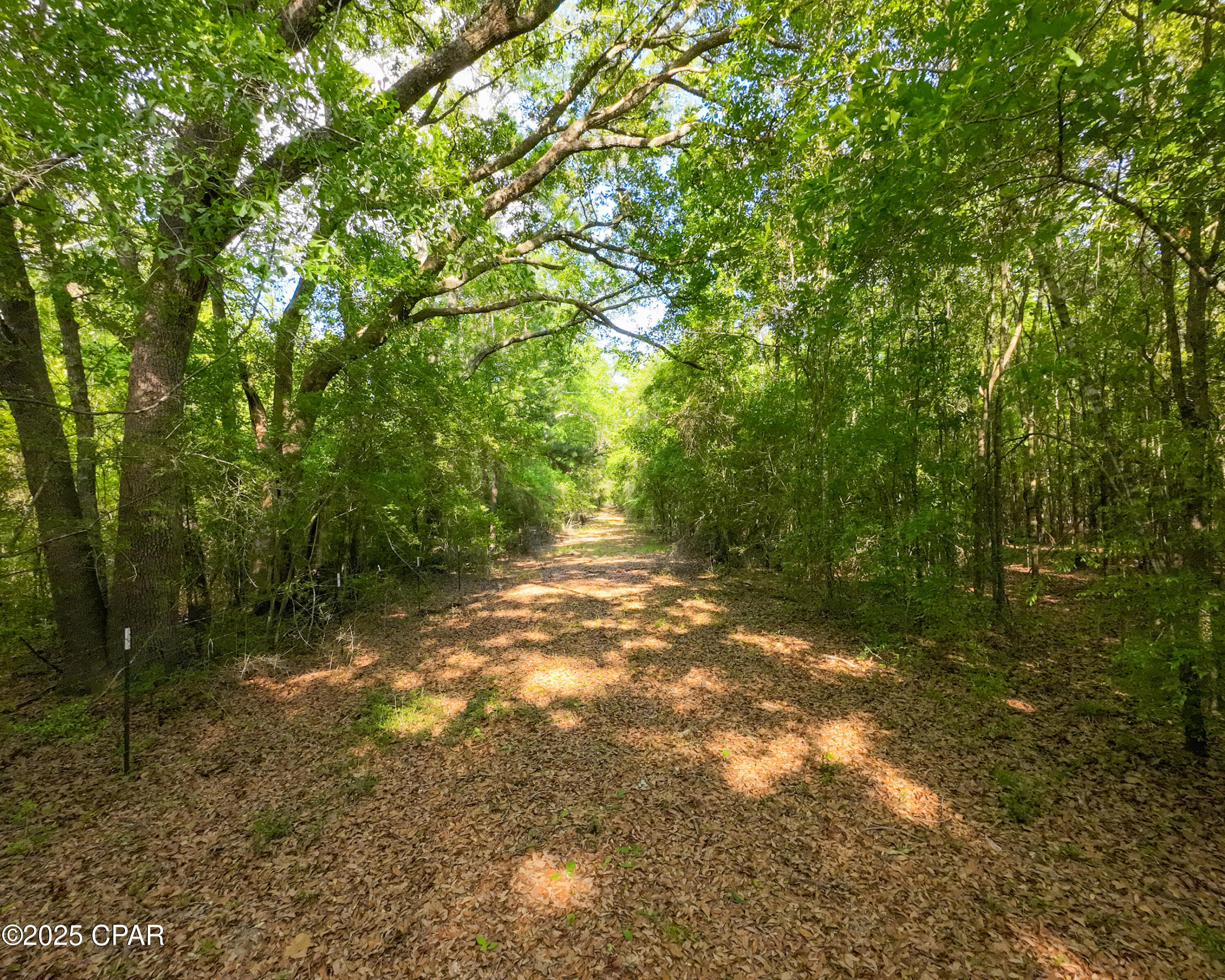 Image 11 For Tbd Nearing Hills Circle