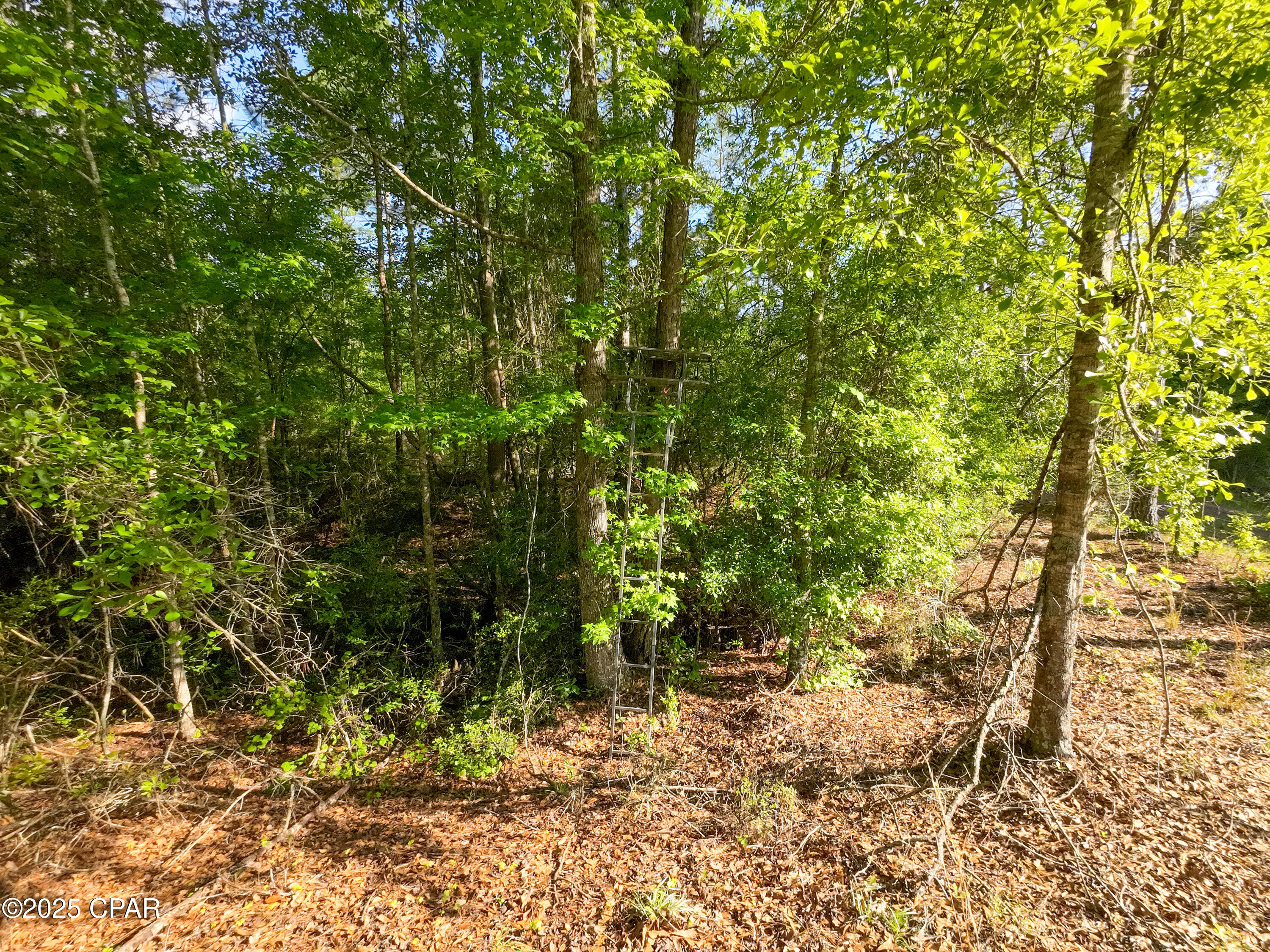 Image 12 For Tbd Nearing Hills Circle