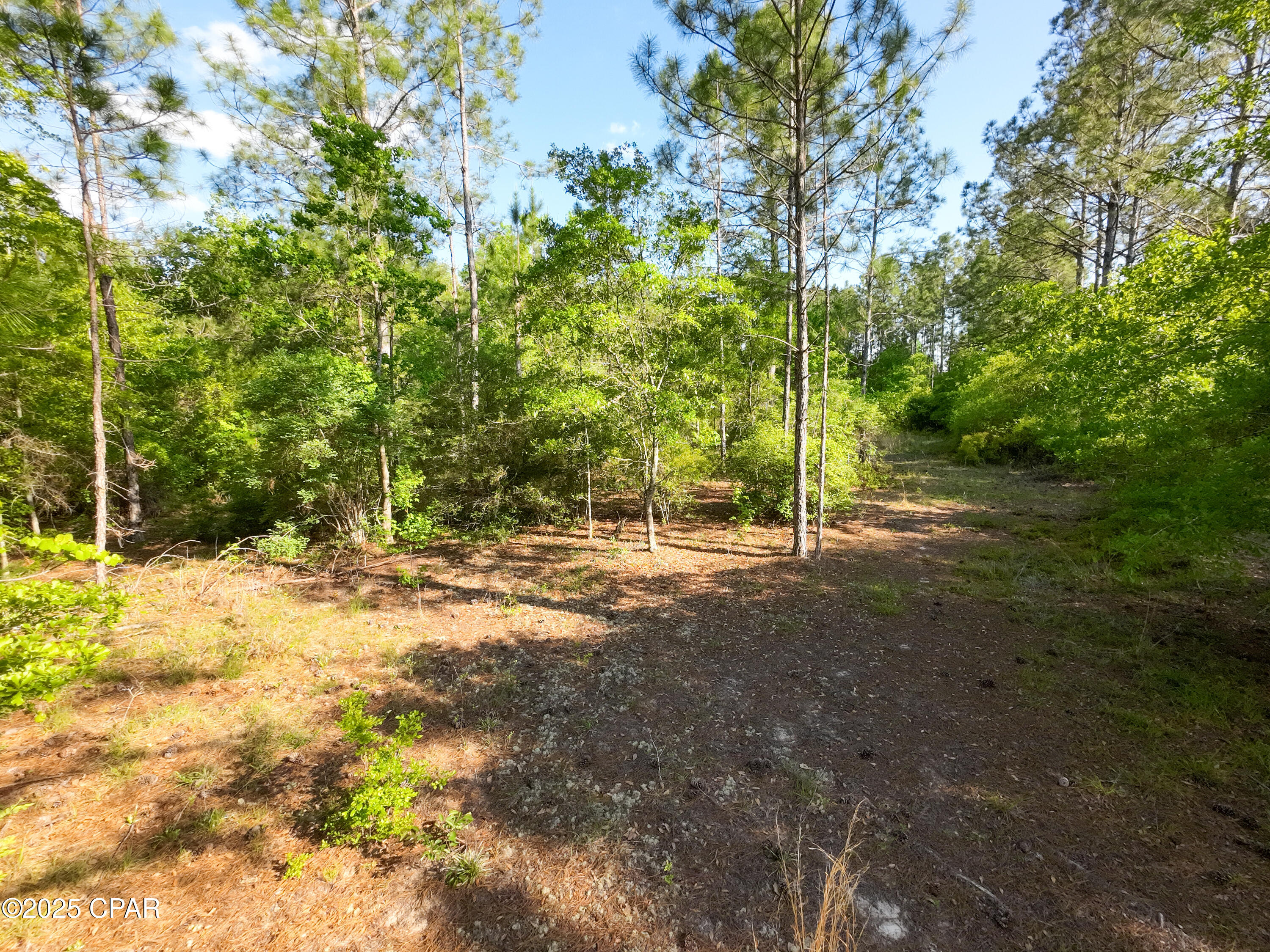 Image 13 For Tbd Nearing Hills Circle