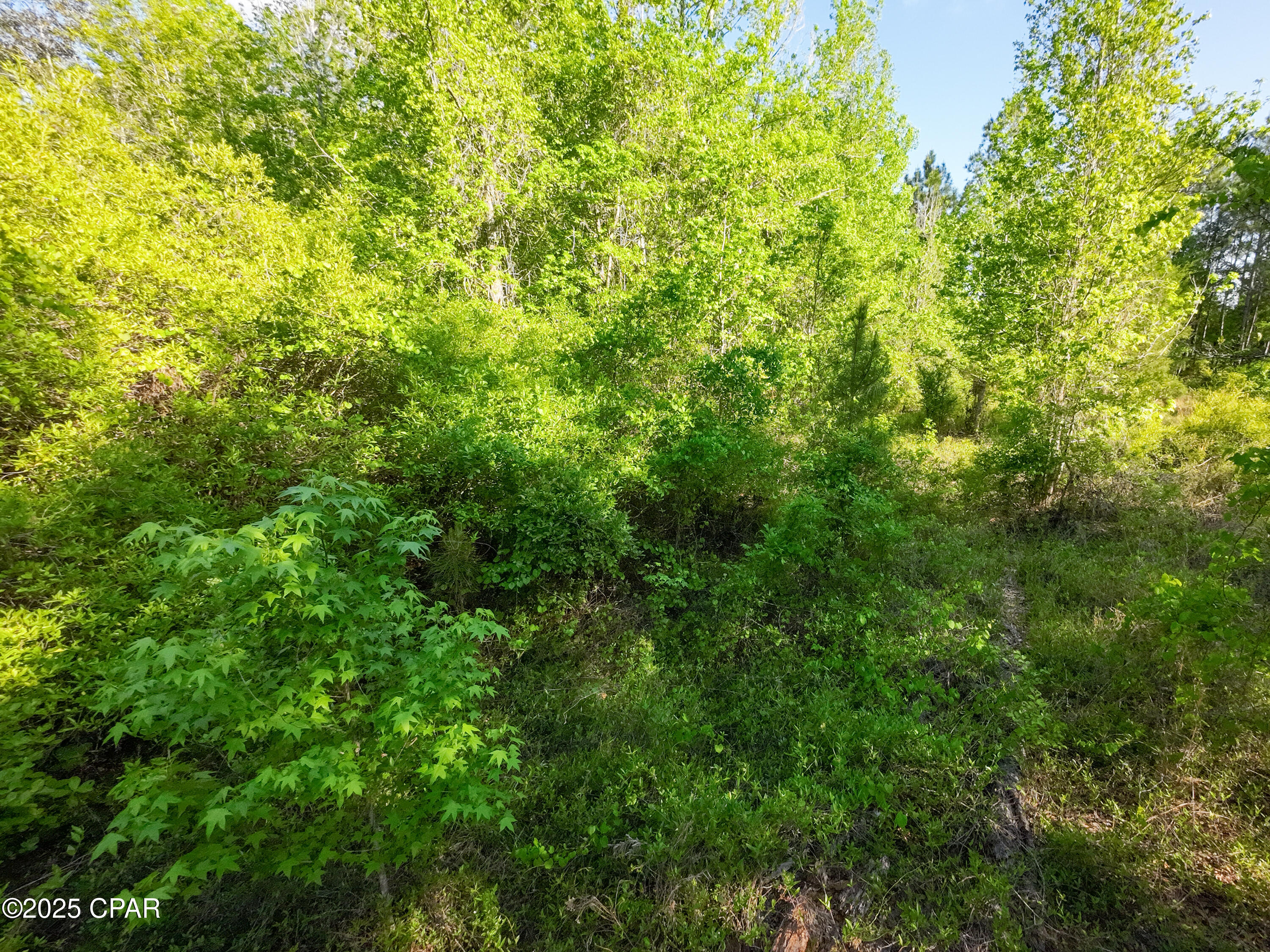 Image 14 For Tbd Nearing Hills Circle