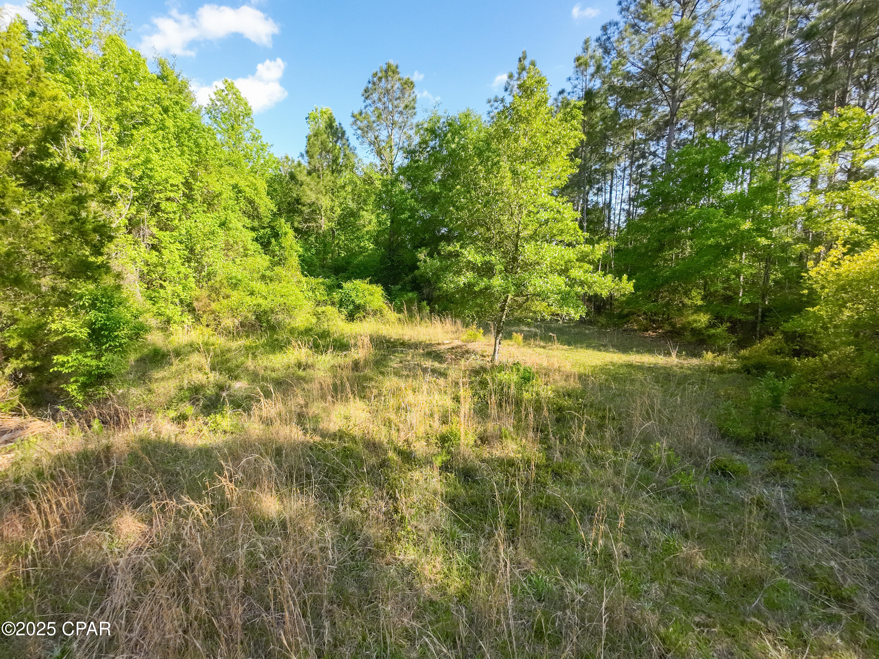 Image 15 For Tbd Nearing Hills Circle