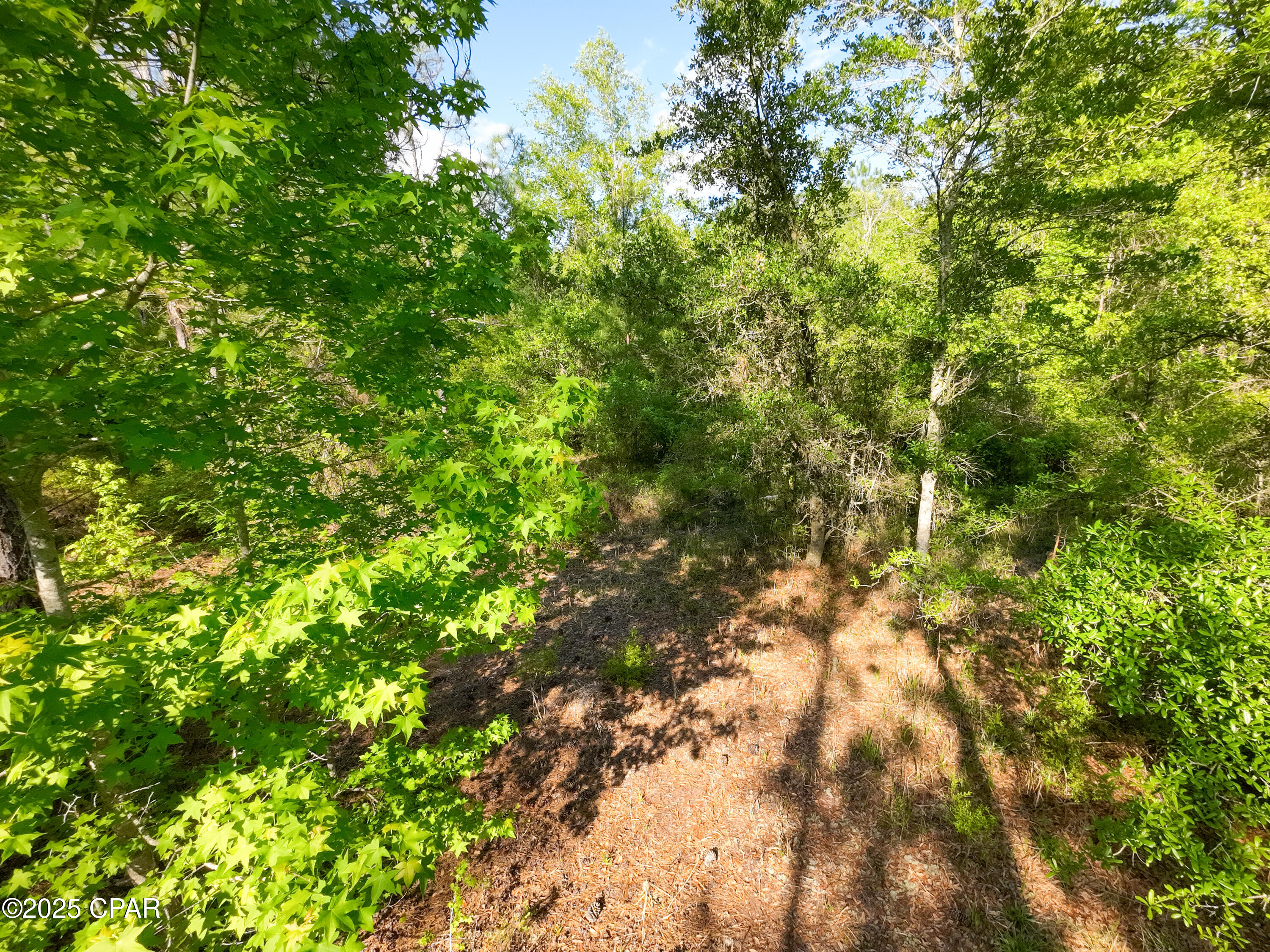 Image 16 For Tbd Nearing Hills Circle