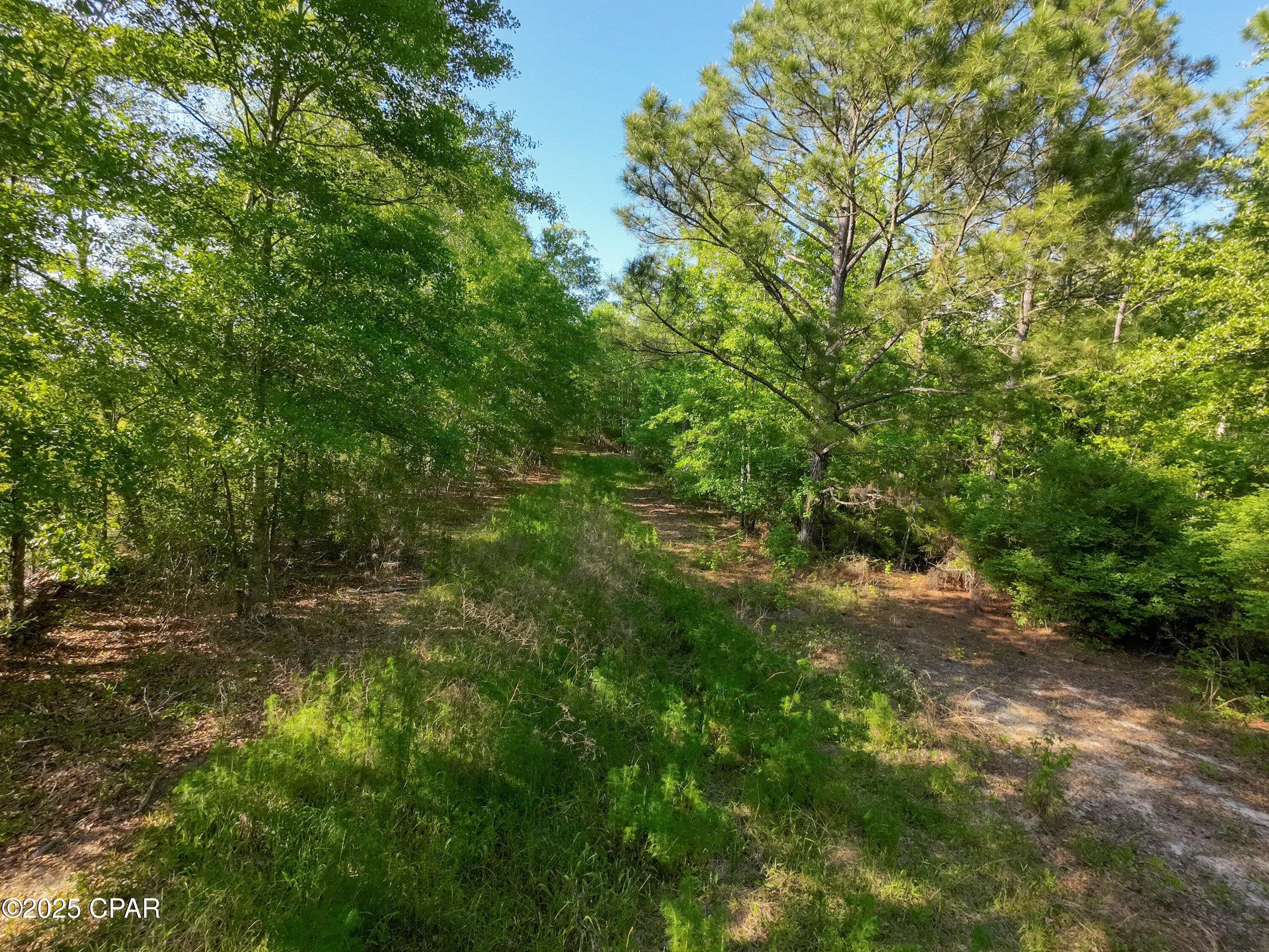 Image 17 For Tbd Nearing Hills Circle