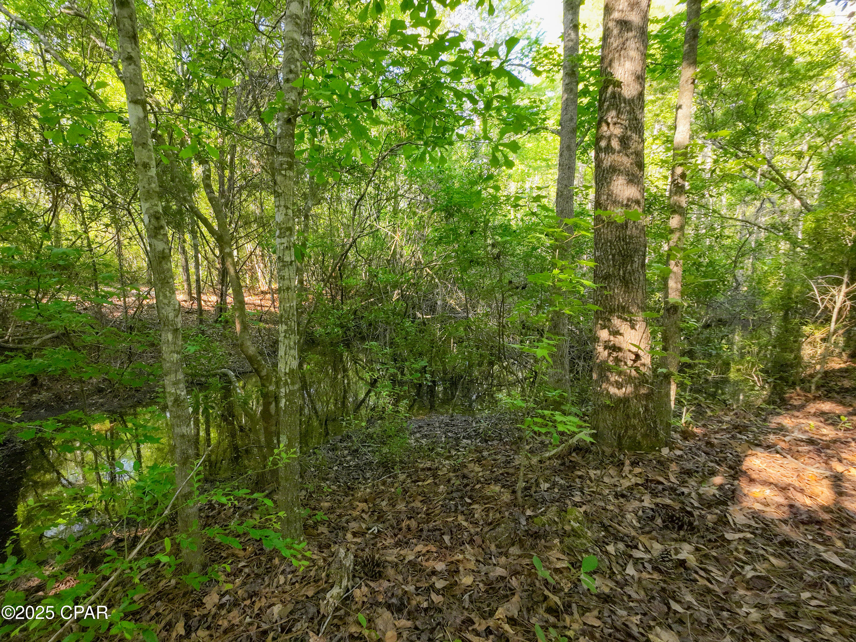 Image 18 For Tbd Nearing Hills Circle