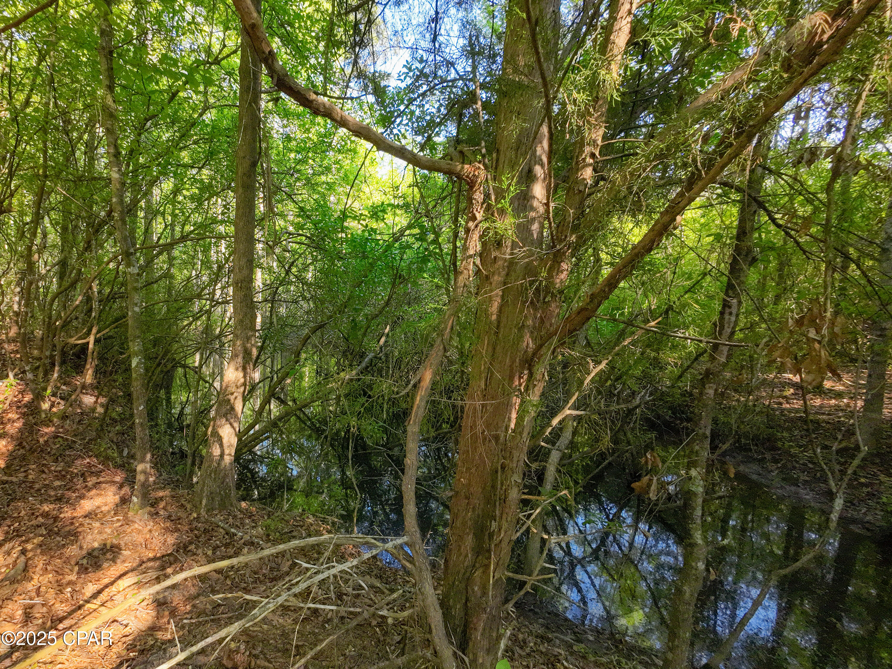 Image 19 For Tbd Nearing Hills Circle