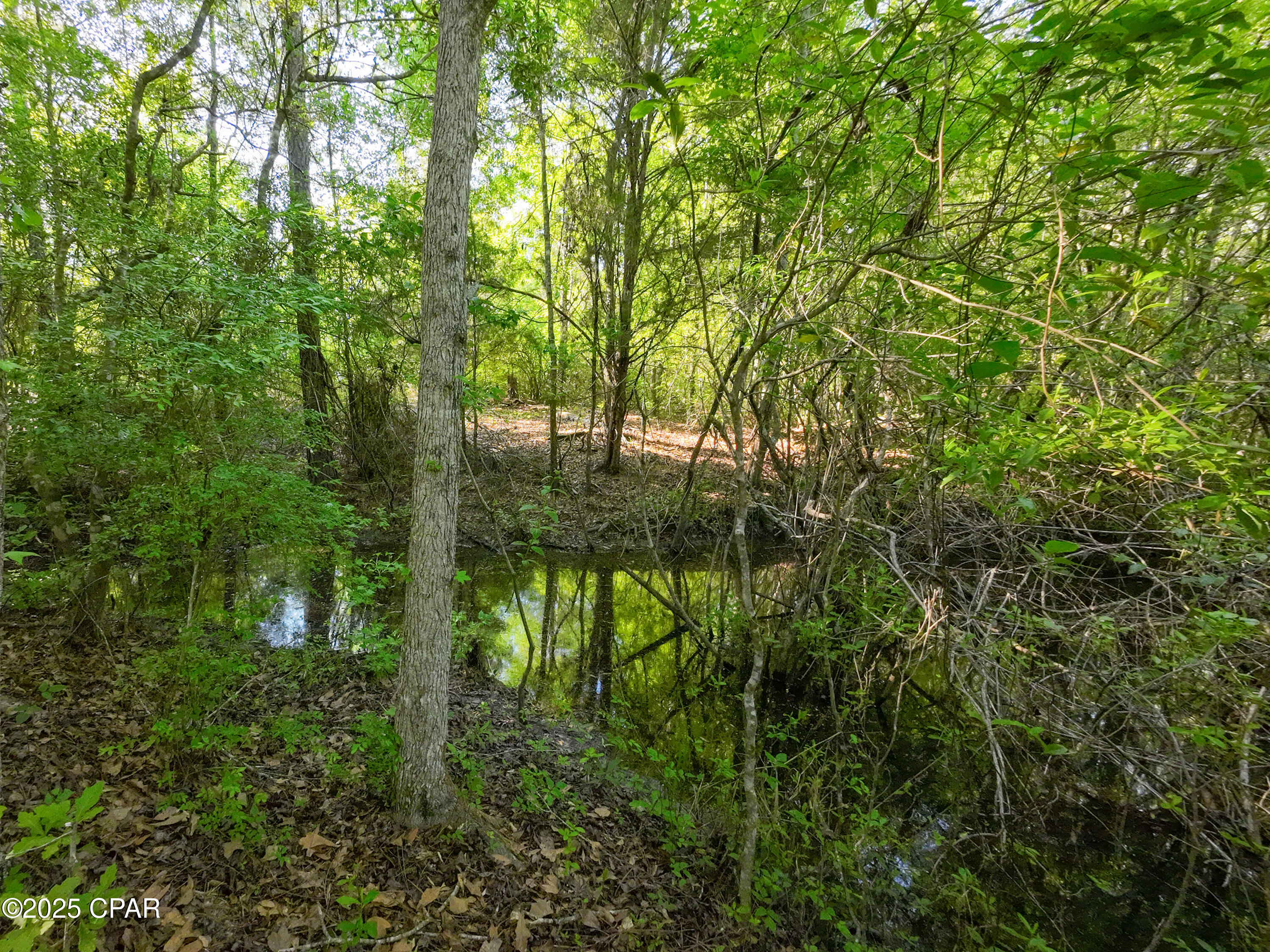 Image 20 For Tbd Nearing Hills Circle