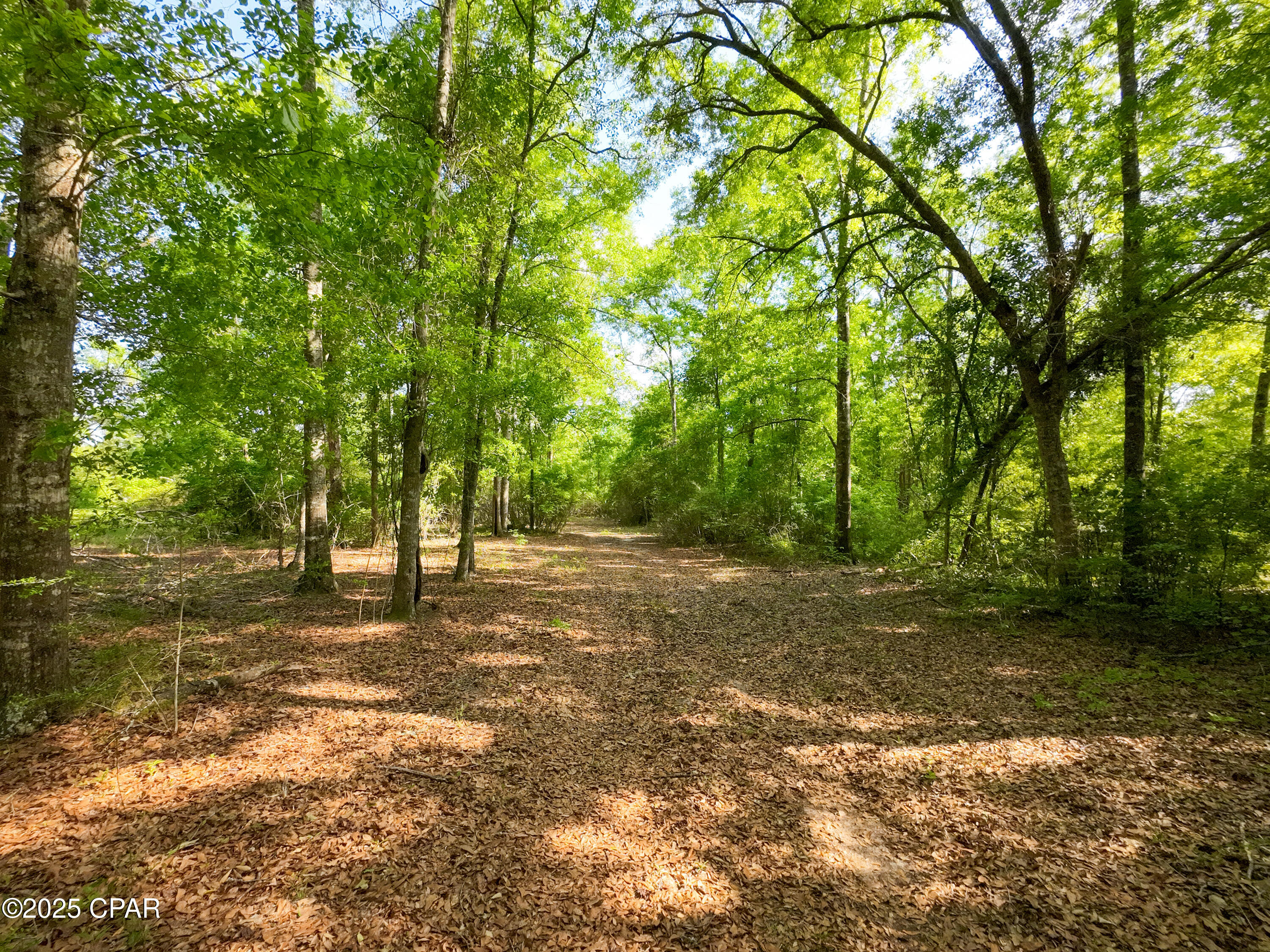 Image 3 For Tbd Nearing Hills Circle