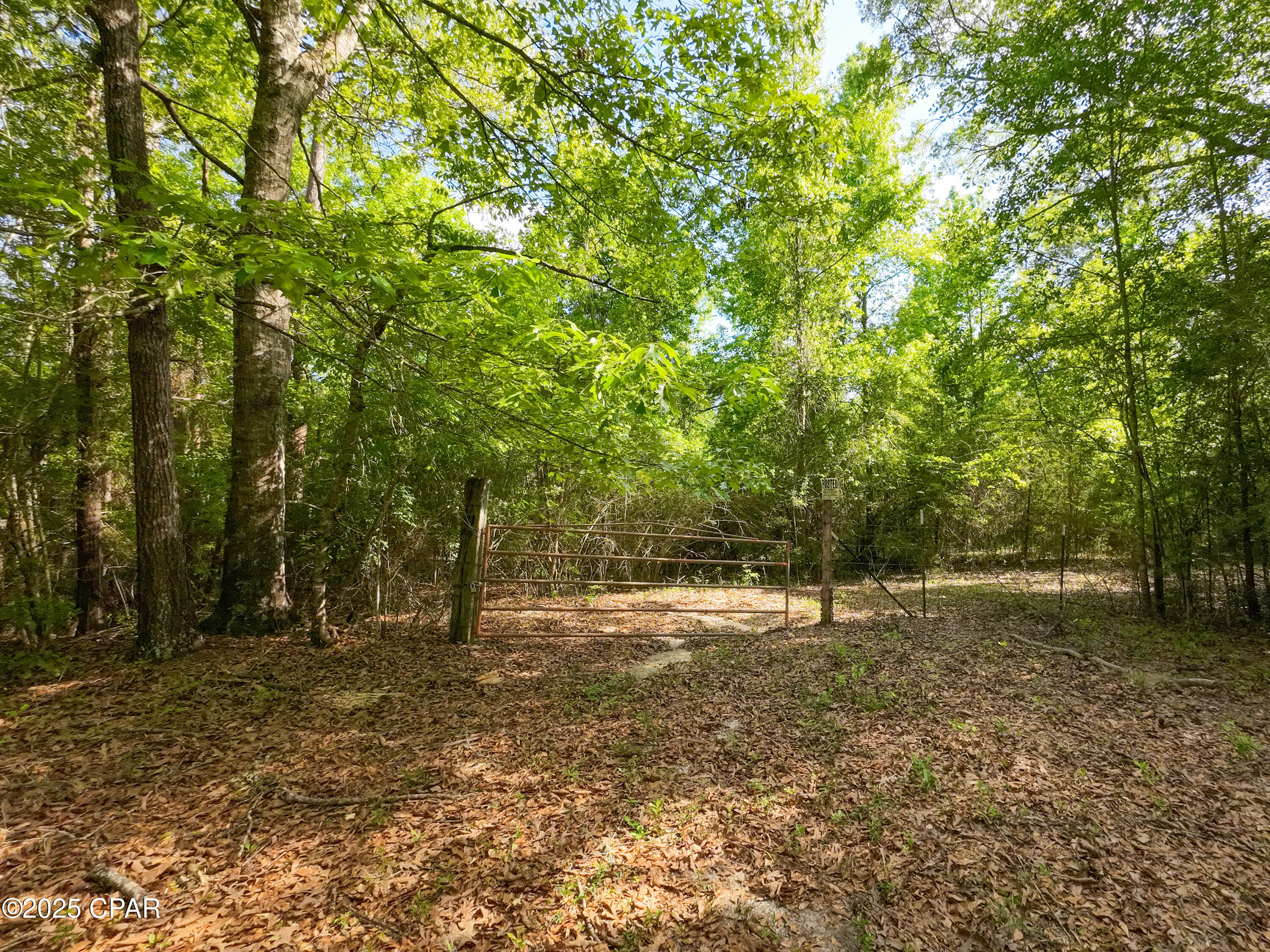 Image 5 For Tbd Nearing Hills Circle