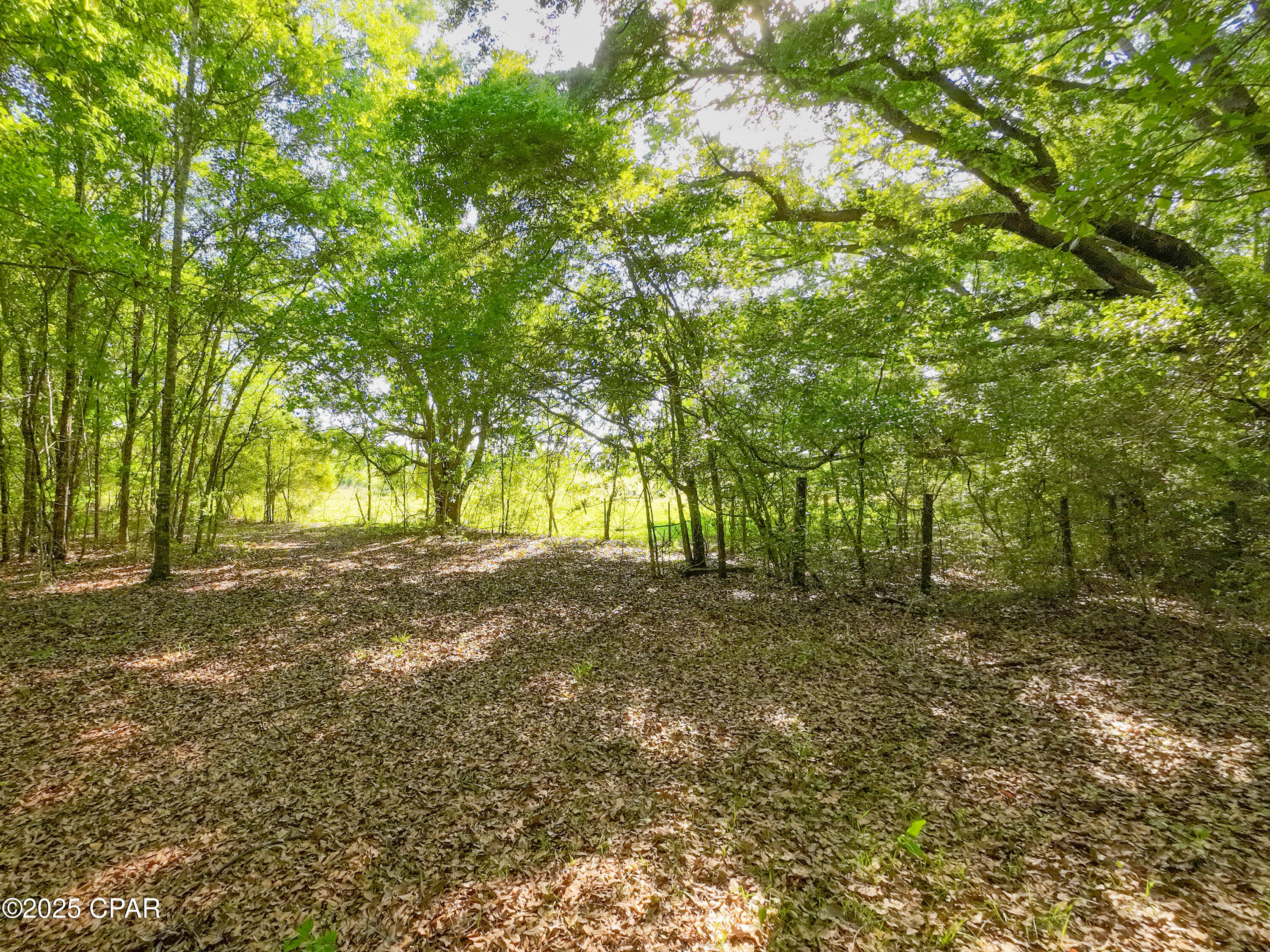 Image 8 For Tbd Nearing Hills Circle