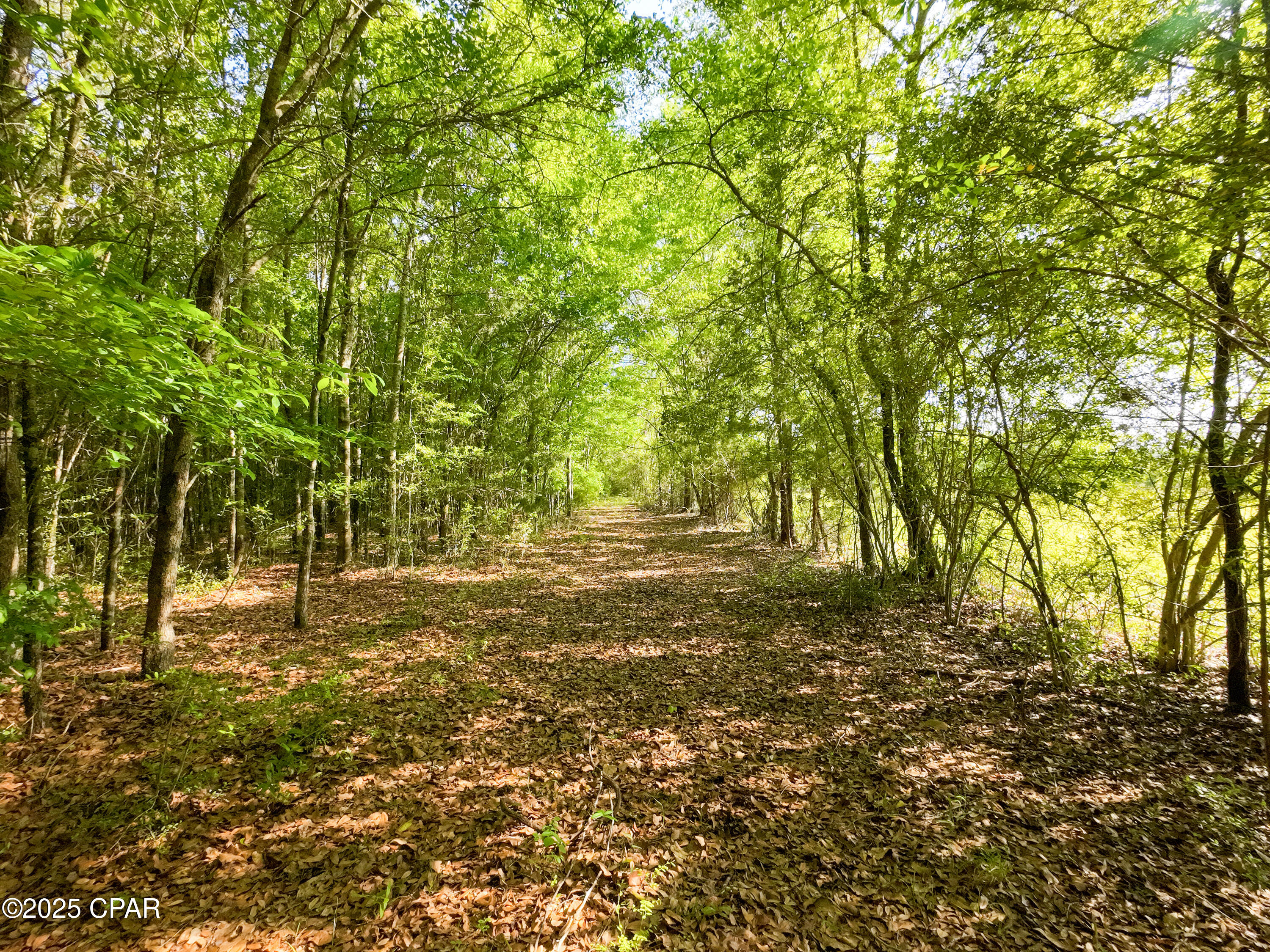 Image 9 For Tbd Nearing Hills Circle