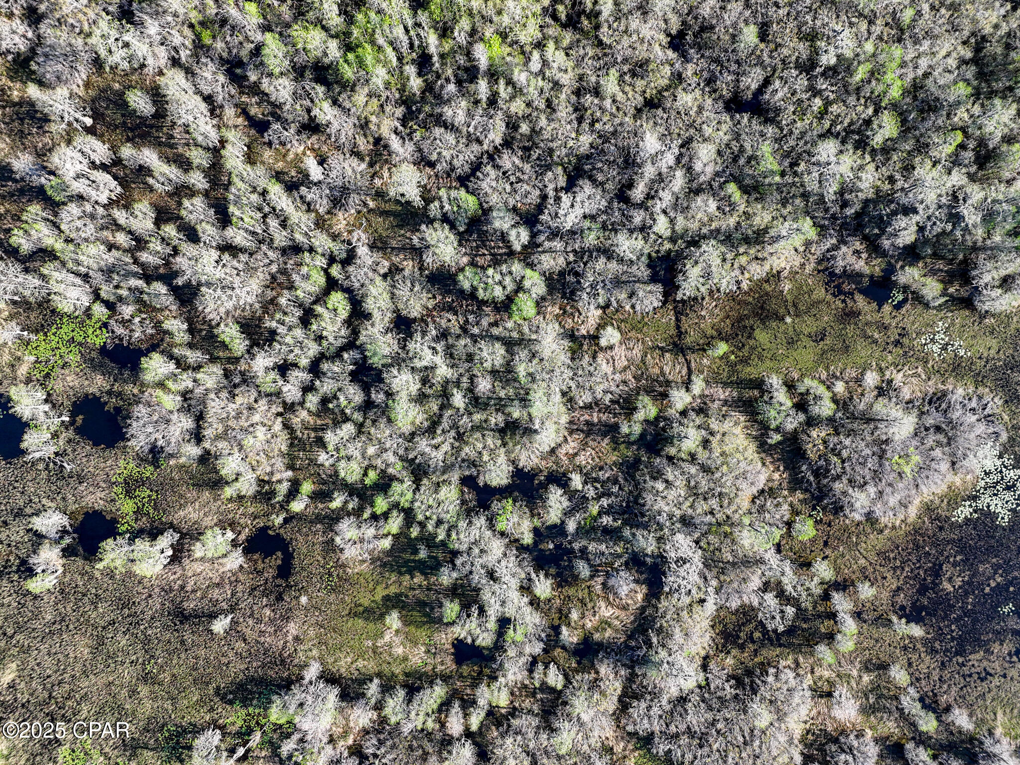 Image 12 For 0 Granada Drive