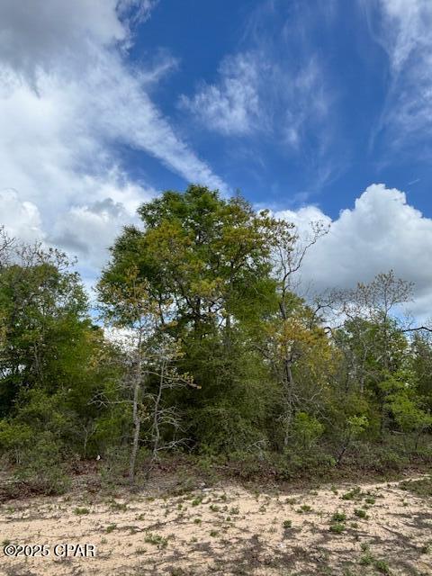 Image 11 For 00 Deltona Boulevard