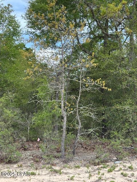 Image 14 For 00 Deltona Boulevard