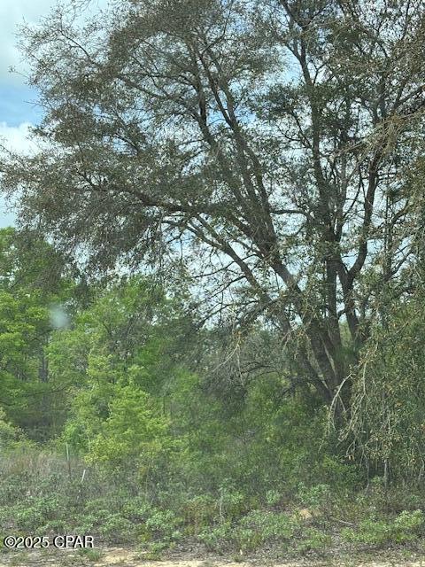 Image 15 For 00 Deltona Boulevard