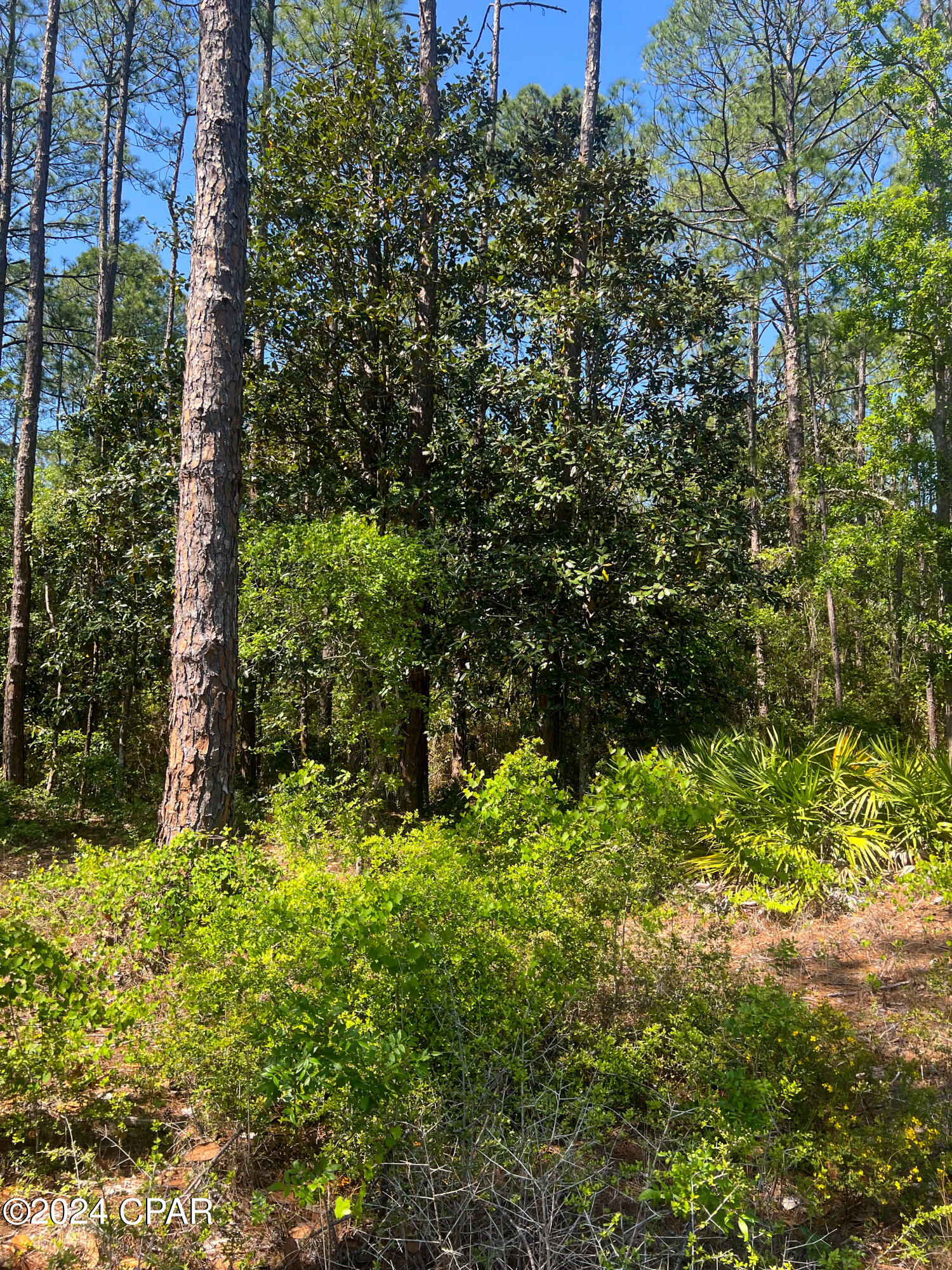 Image 15 For Tbd Harley Rd