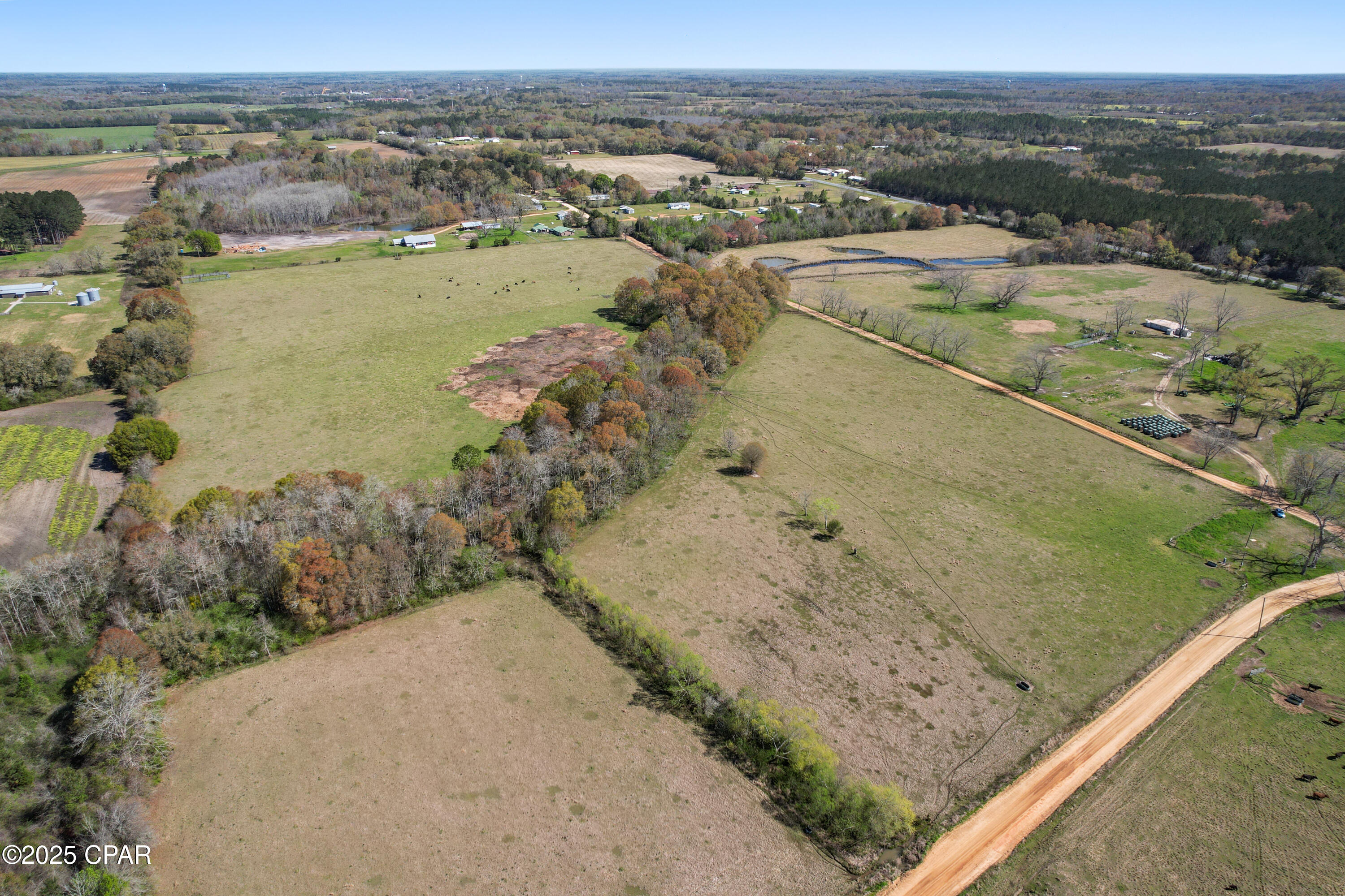 Homes for sale in Graceville, FL | Tbd Orchard Rd Rd, Graceville, FL 32440 | MLS# 770749